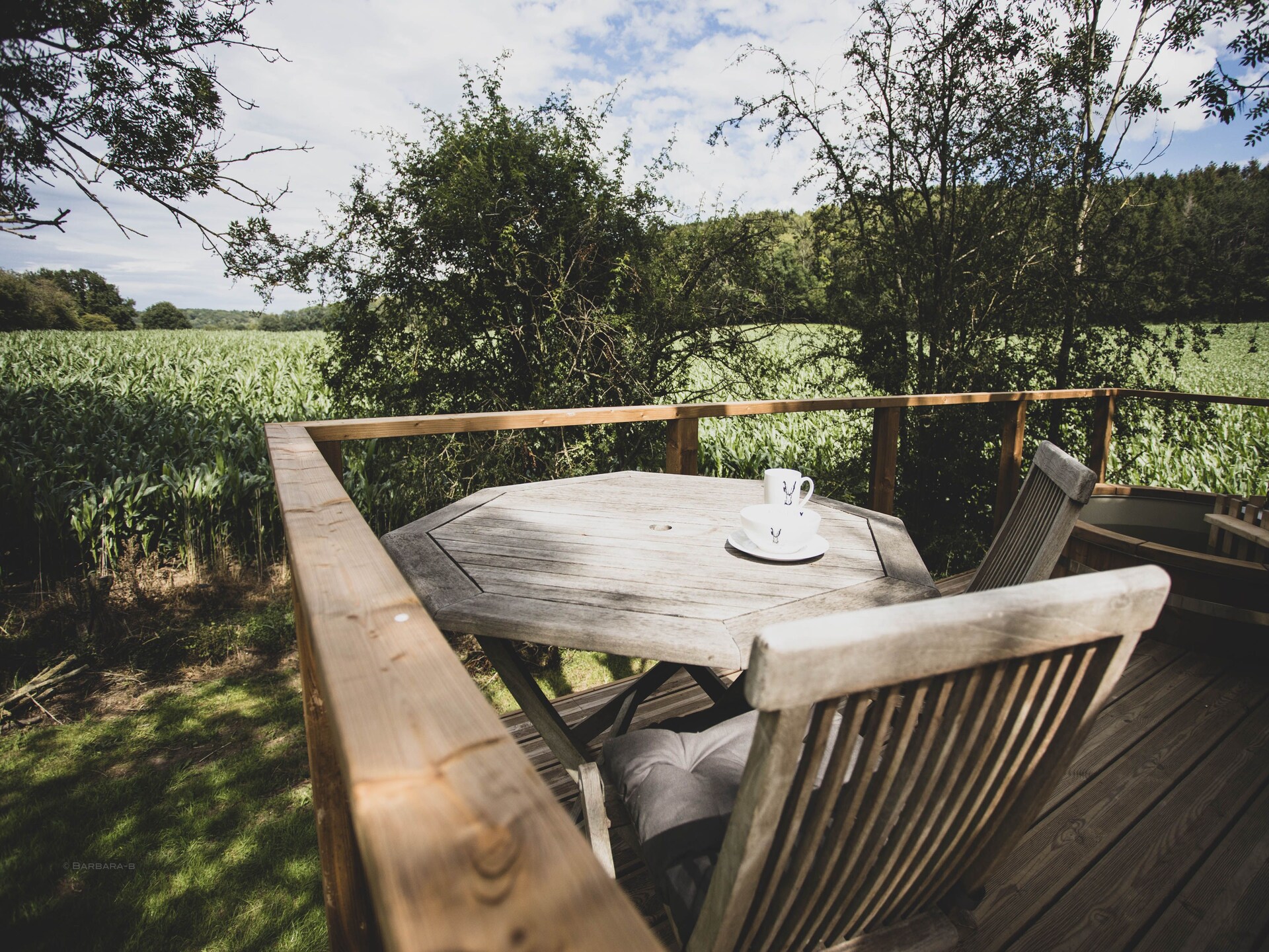 Bird Nest: Romantisch wellness chalet in het bos bij Durbuy - foto 30