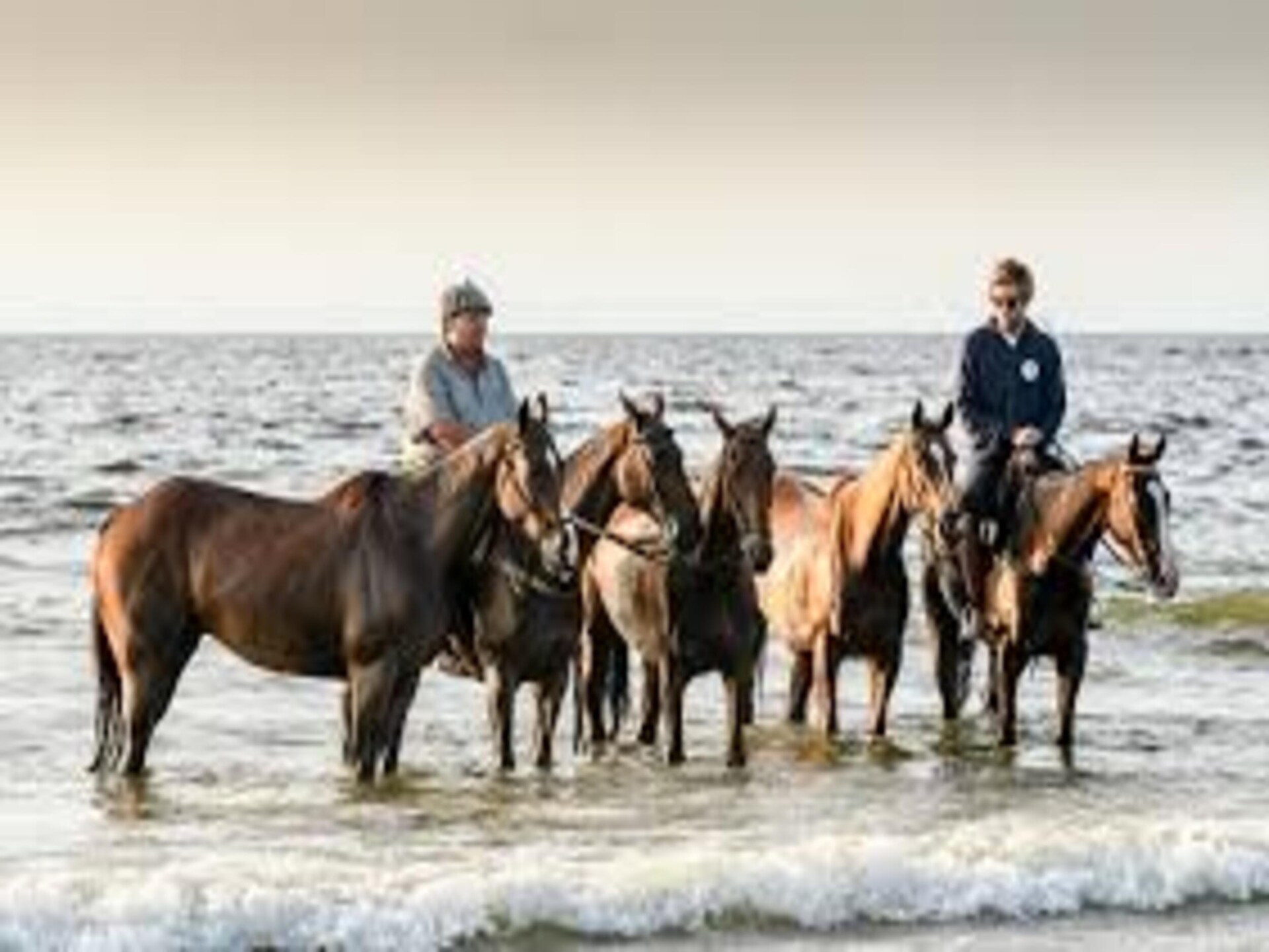 Charmant vakantiehuis bij Noordwijk met tuin, hond welkom - foto 37