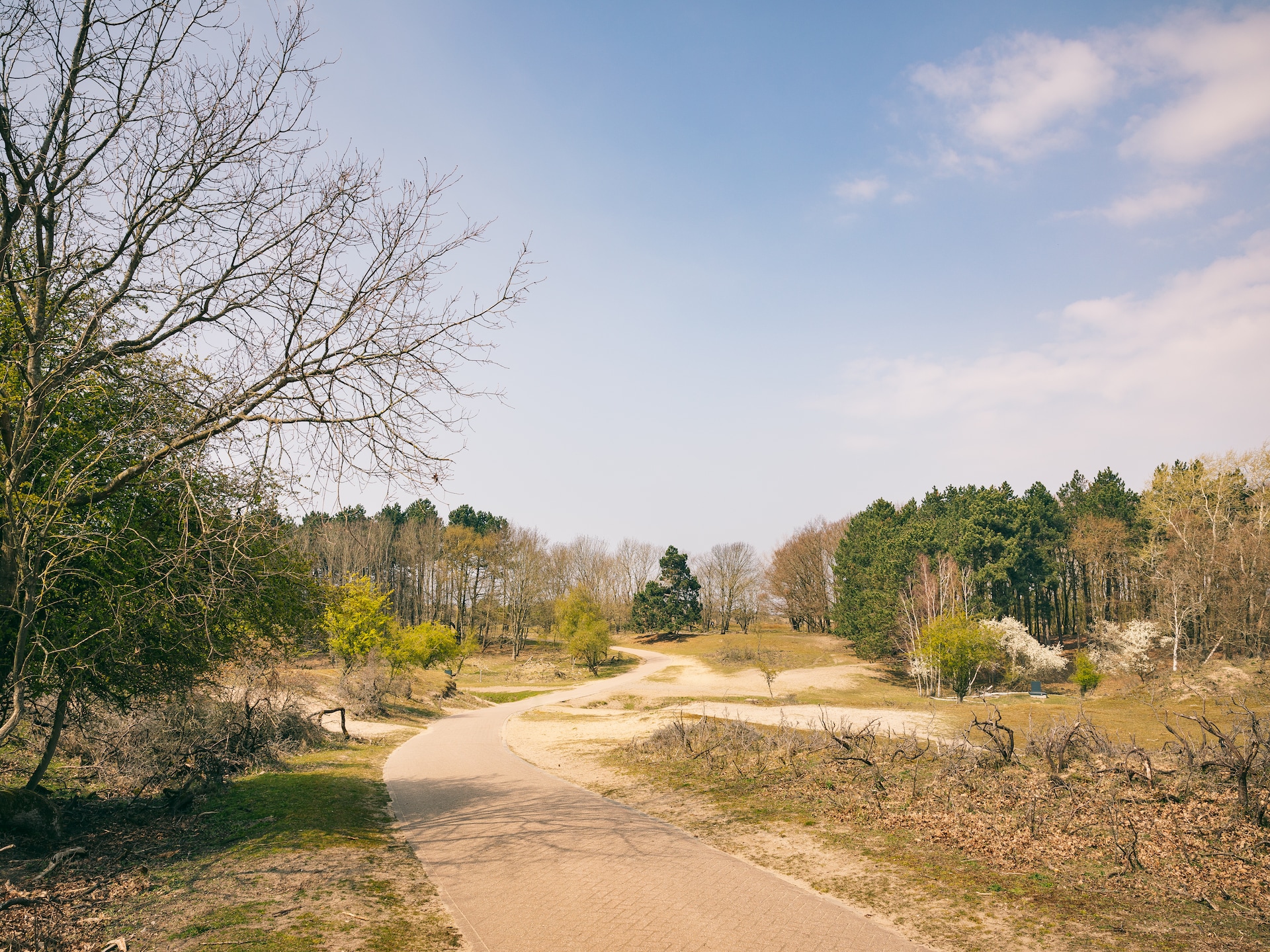 Duinresort Dunimar 2: Gezellig vakantiehuis met tuin, 4,5 km van zee - foto 32