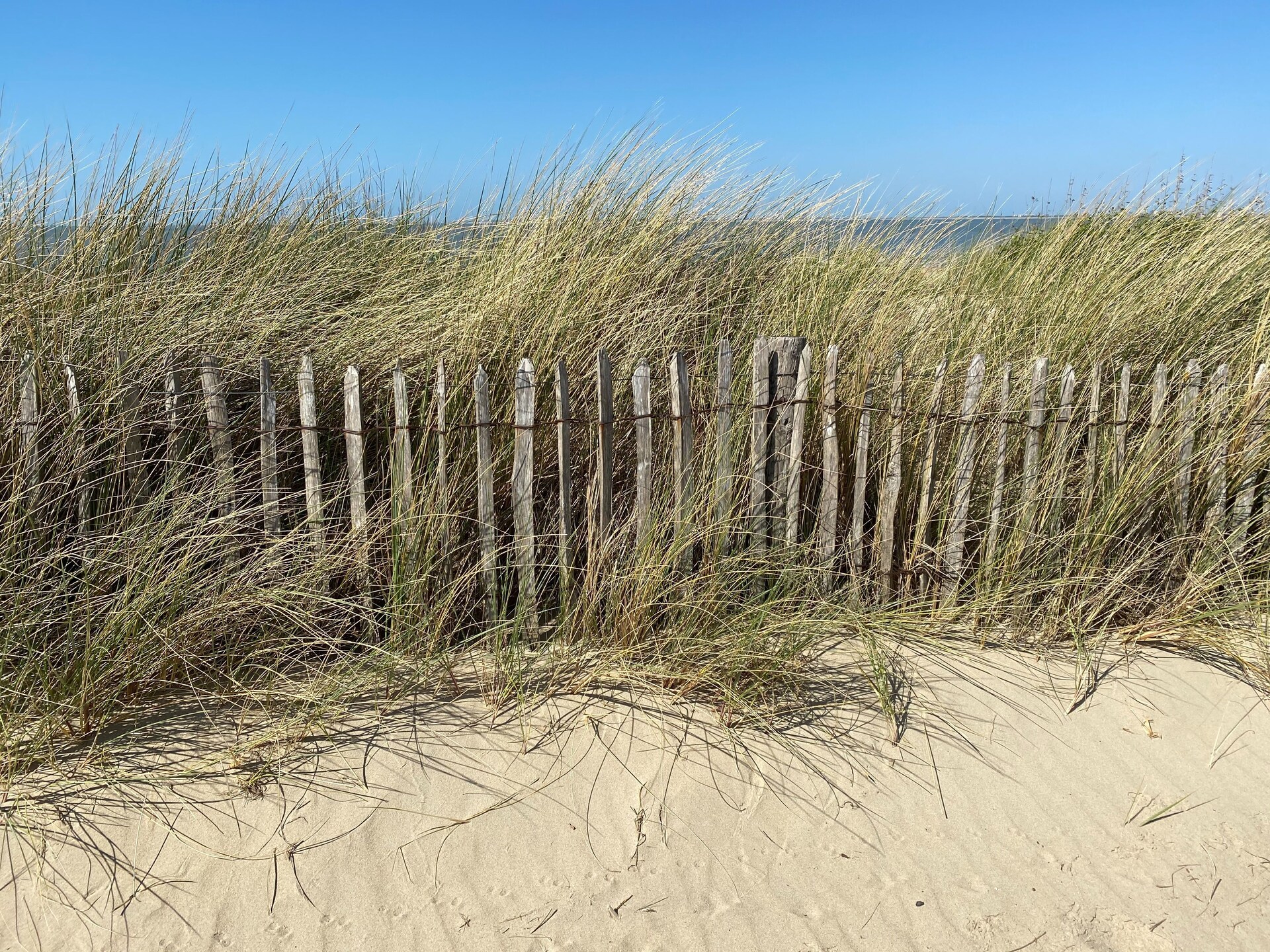 Lepelblad 44: Luxe strandhuis met sauna op 100m van de zee - foto 25