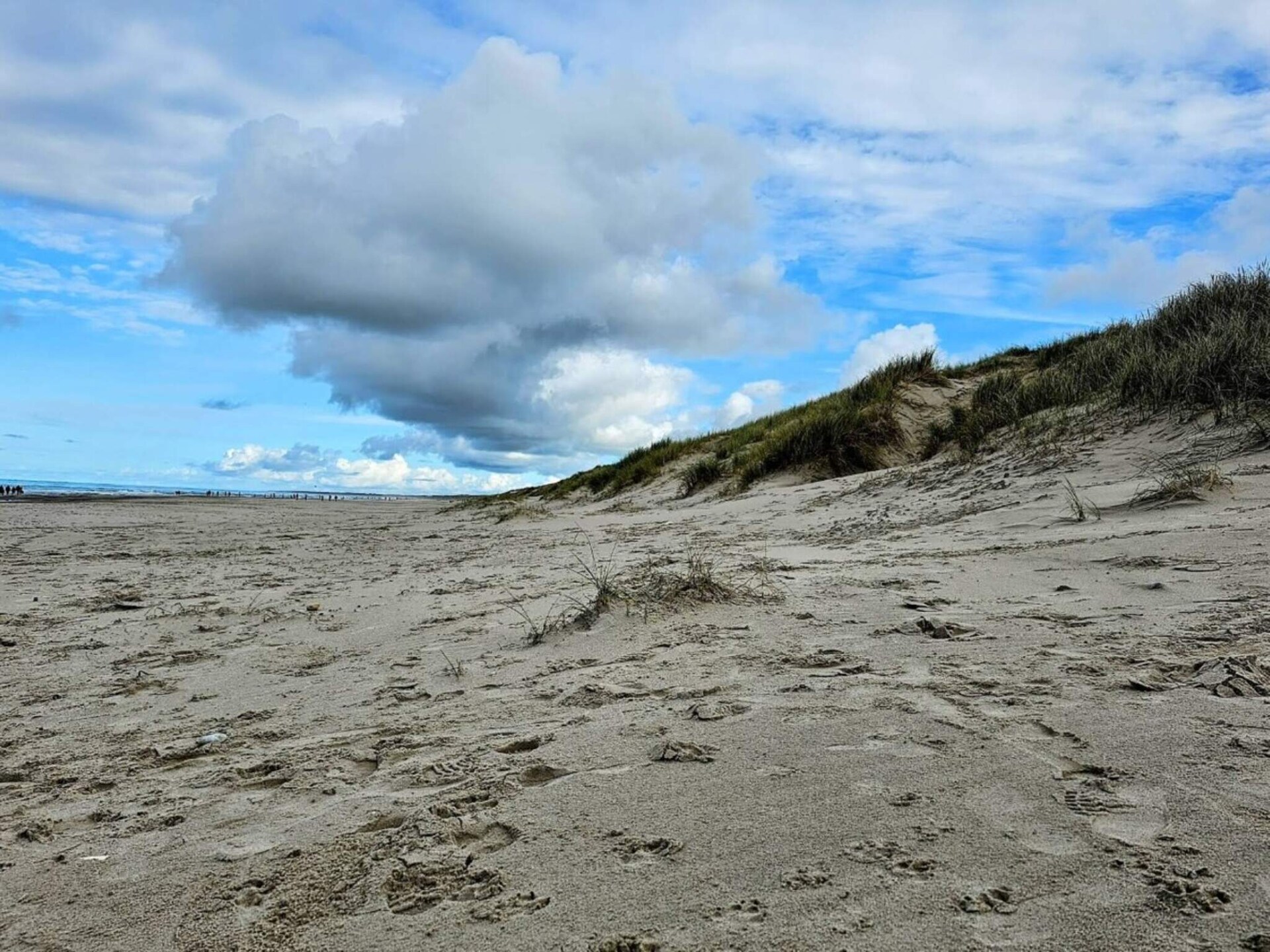 Op 500 m van zee: Rietgedekt vakantiehuis in Henne voor 8 personen - foto 7