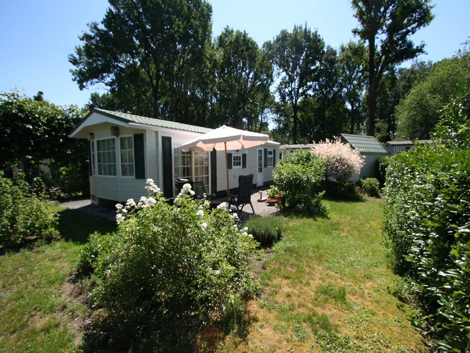 Knus chalet midden in het bos van Stegeren | 6 pers., huisdieren welkom - foto 31