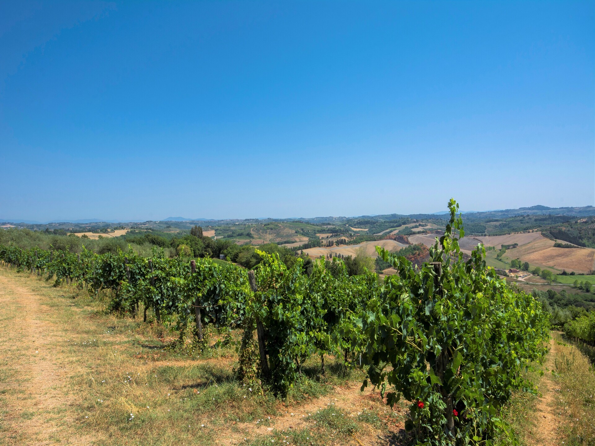 Toscaanse rust aan de bosrand bij Castelfiorentino, met zwembad - foto 35