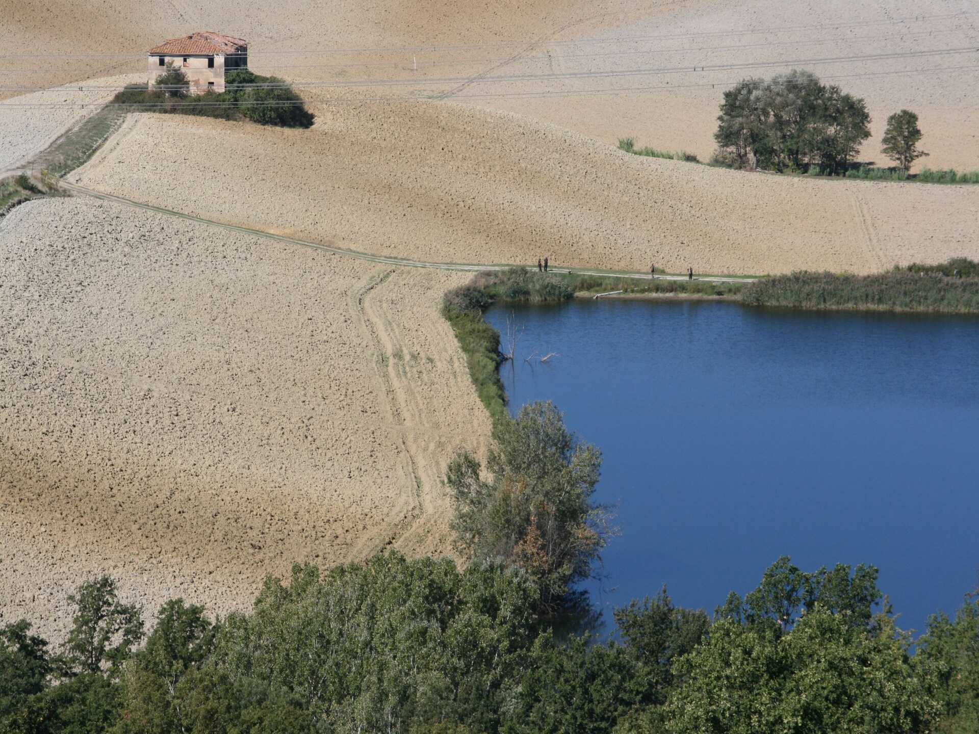 Toscaanse rust aan de bosrand bij Castelfiorentino, met zwembad - foto 23