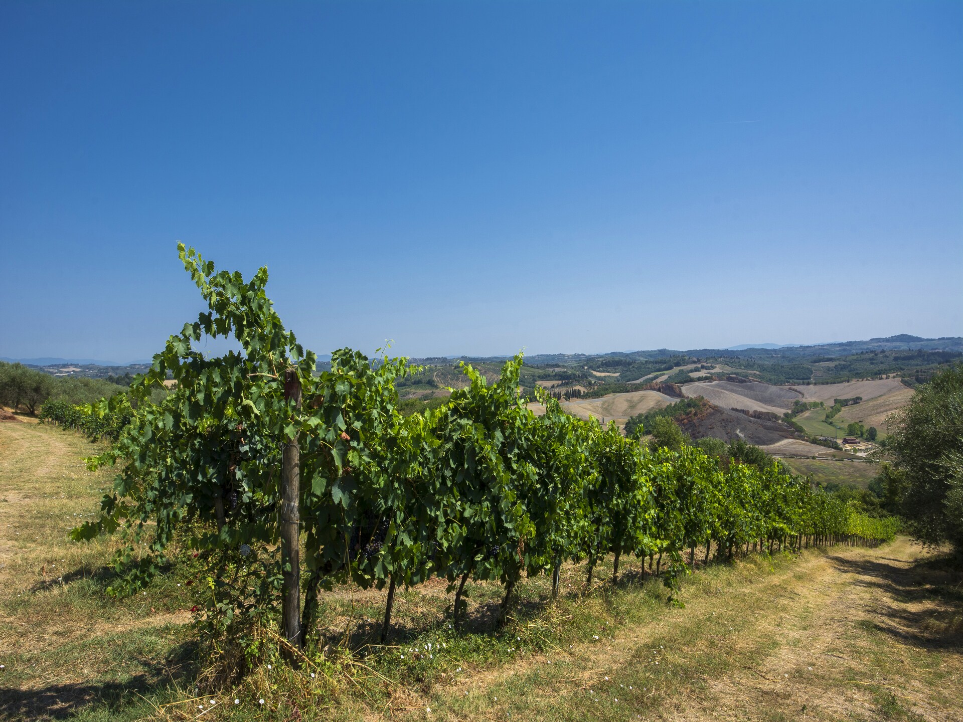 Toscaanse rust aan de bosrand bij Castelfiorentino, met zwembad - foto 37