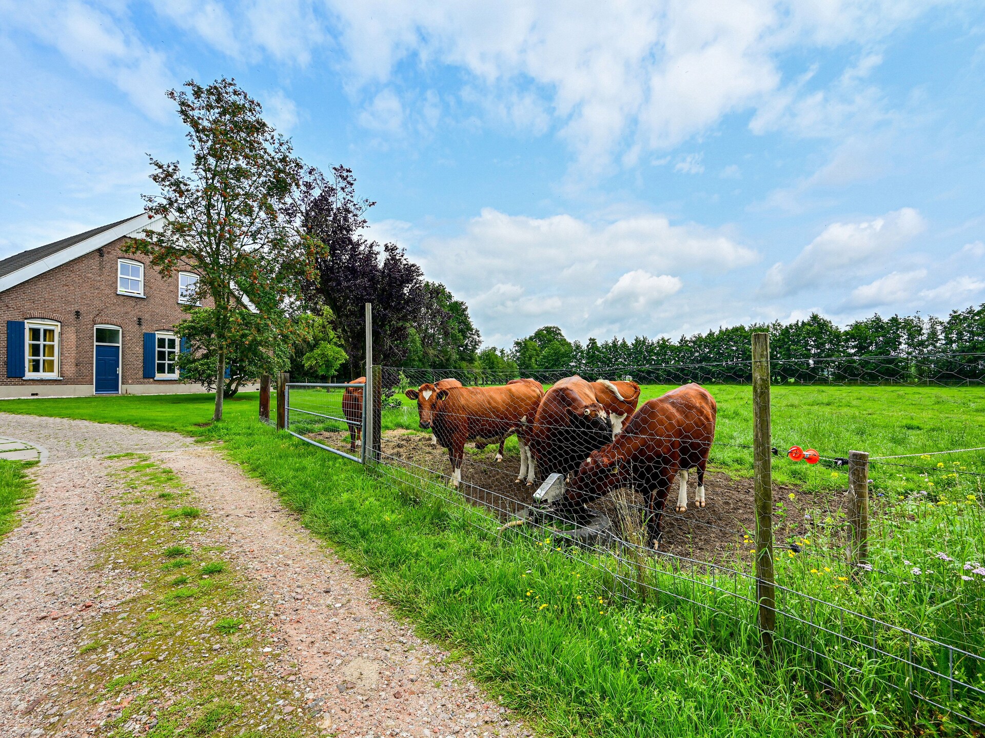 Landelijke boerderij met bosrijke tuin in de Achterhoek - foto 28