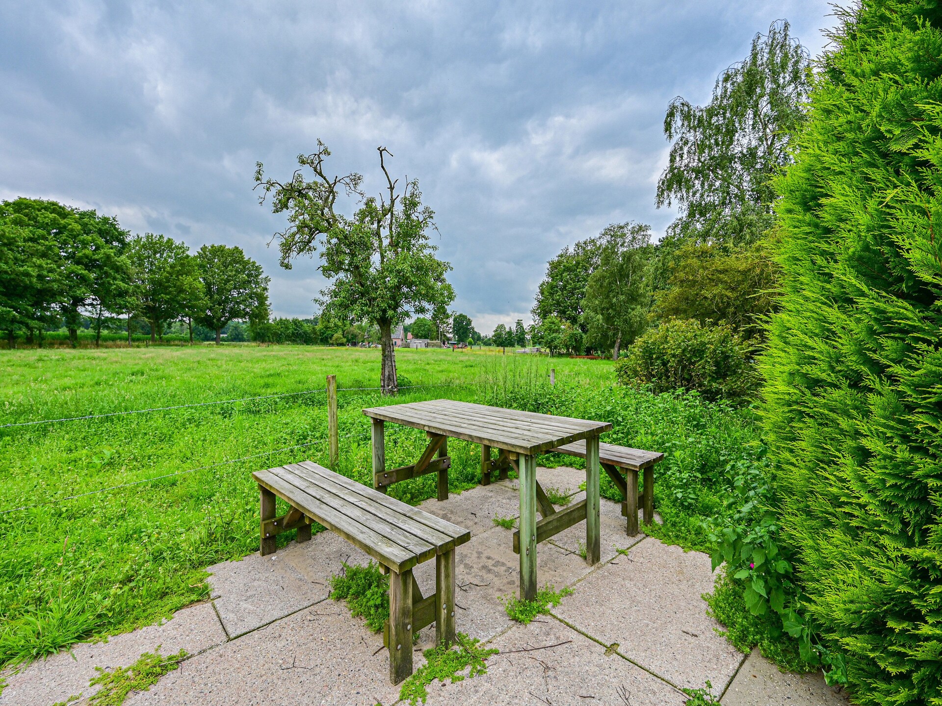 Landelijke boerderij met bosrijke tuin in de Achterhoek - foto 29