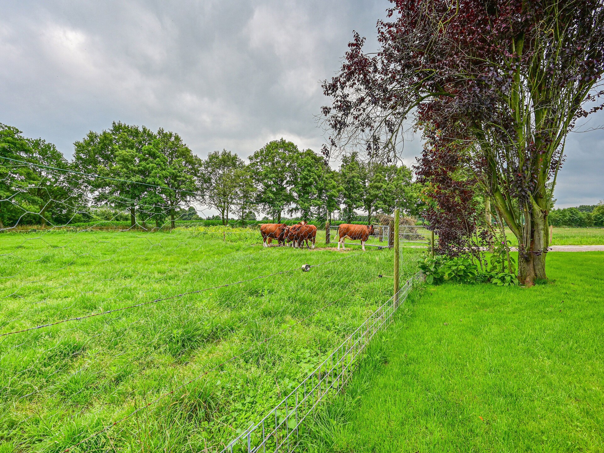 Landelijke boerderij met bosrijke tuin in de Achterhoek - foto 32