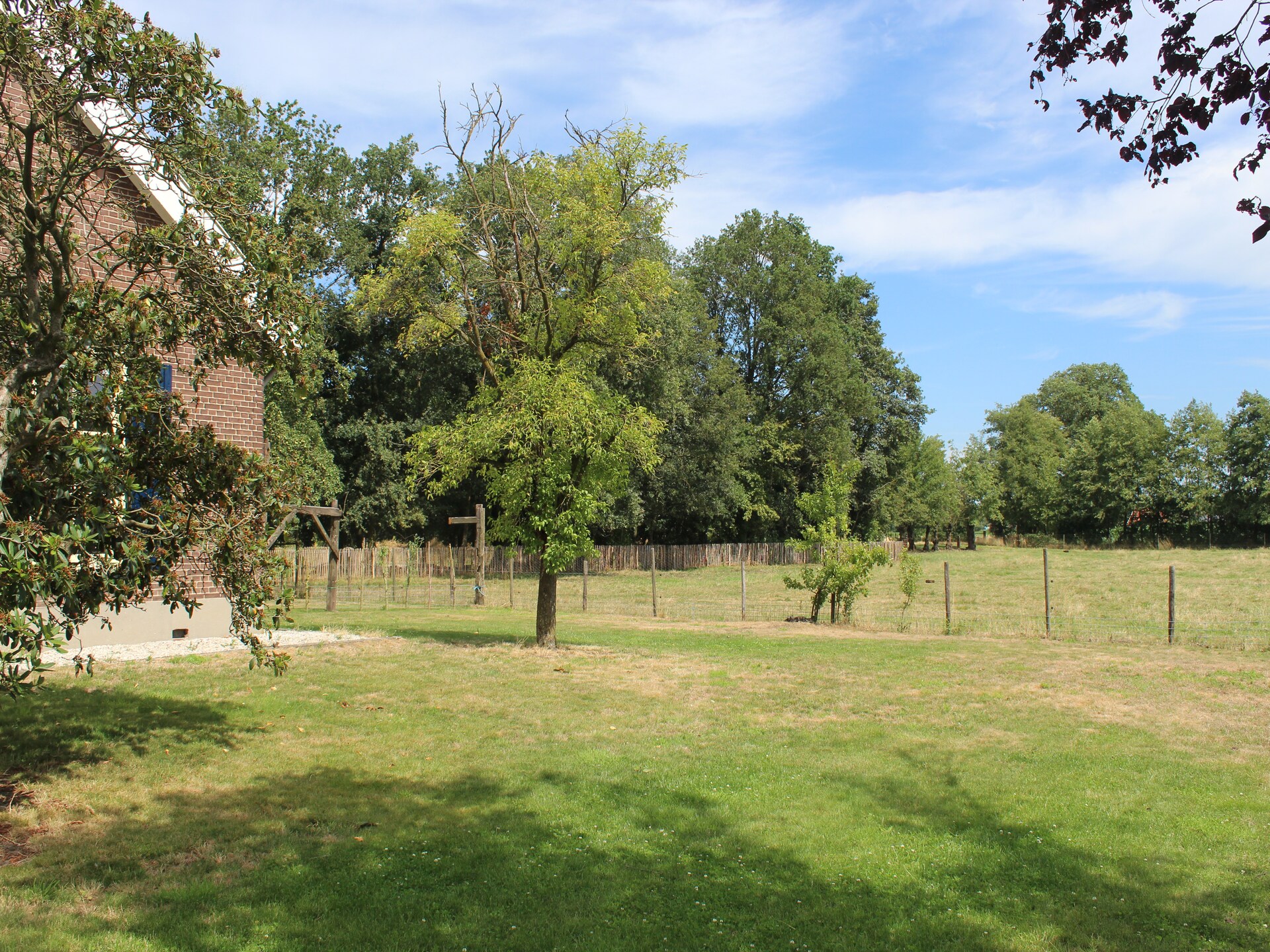 Landelijke boerderij met bosrijke tuin in de Achterhoek - foto 27