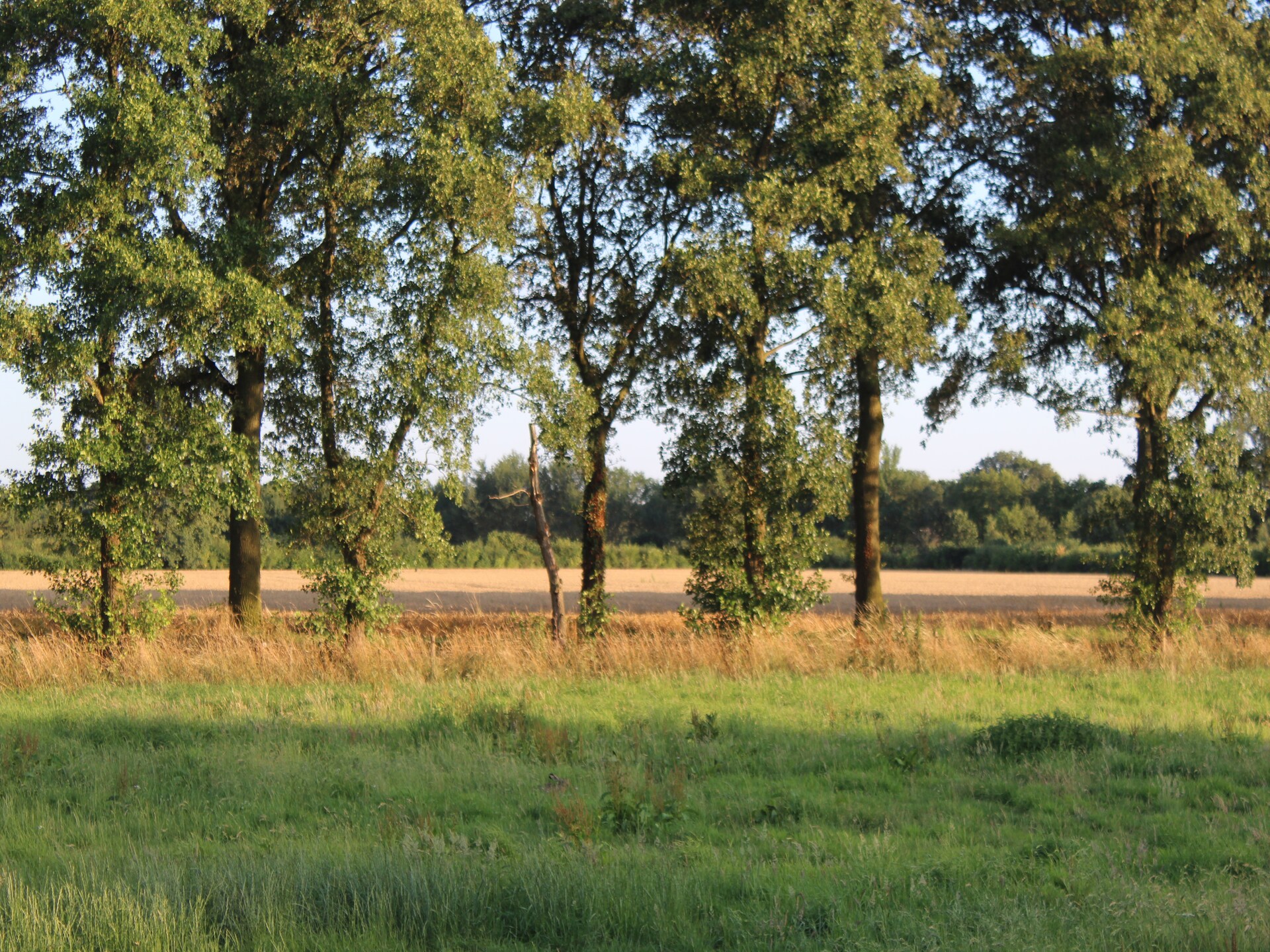 Landelijke boerderij met bosrijke tuin in de Achterhoek - foto 37