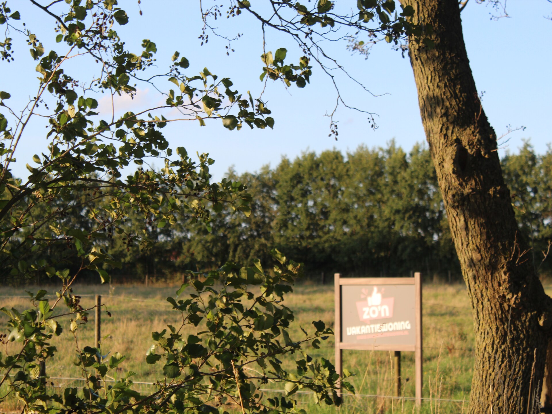 Landelijke boerderij met bosrijke tuin in de Achterhoek - foto 8