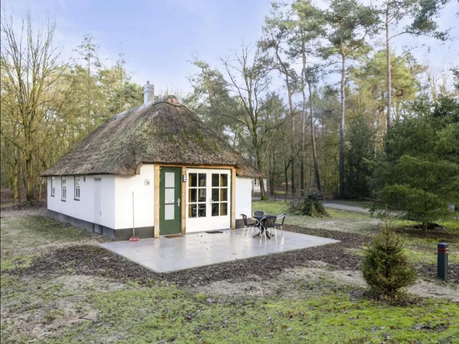 Stijlvolle bosbungalow Herperduin 16 voor 4 personen met huisdieren - foto 20