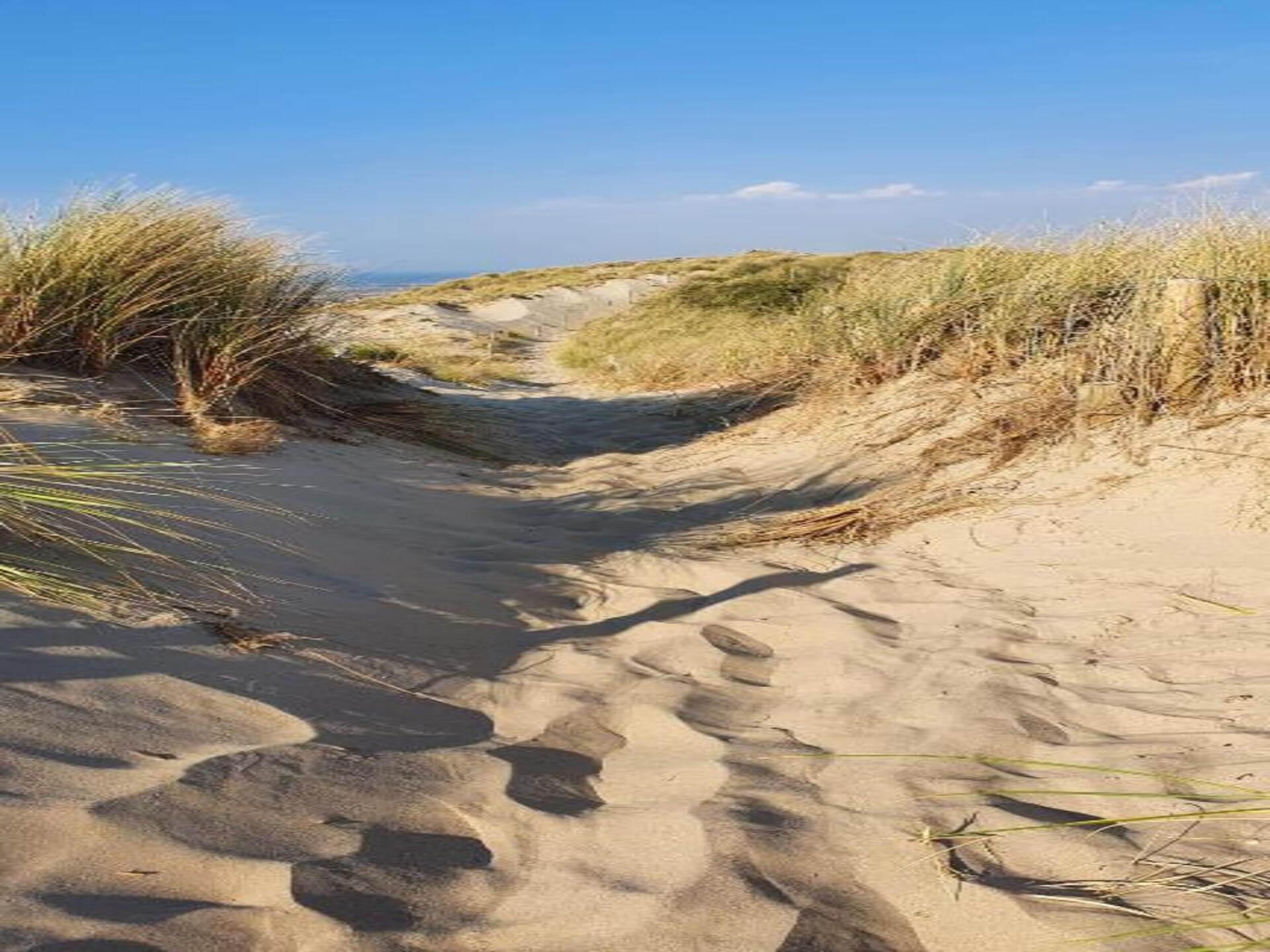 6-persoons villa met tuin in hartje Breeduyn Village, Bredene - foto 30