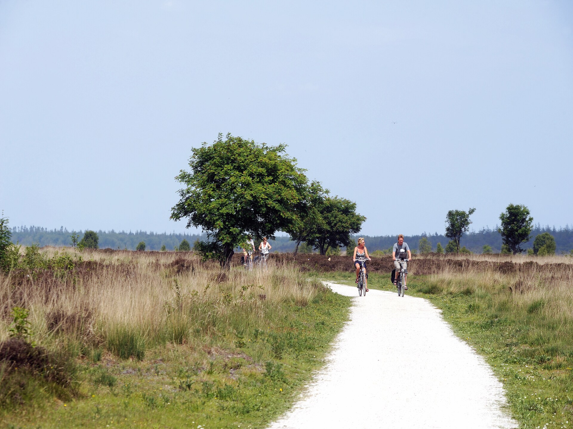 Het Drentse Wold 5: Gezellig vakantiehuis met open haard in Drenthe - foto 28