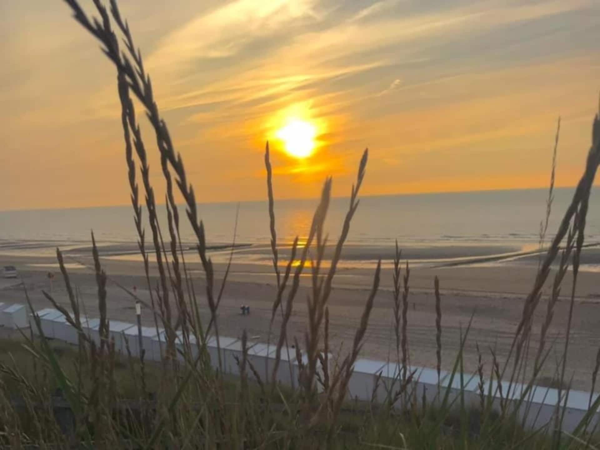 2-persoons appartement aan zee in Wenduine, 75 m² - foto 31