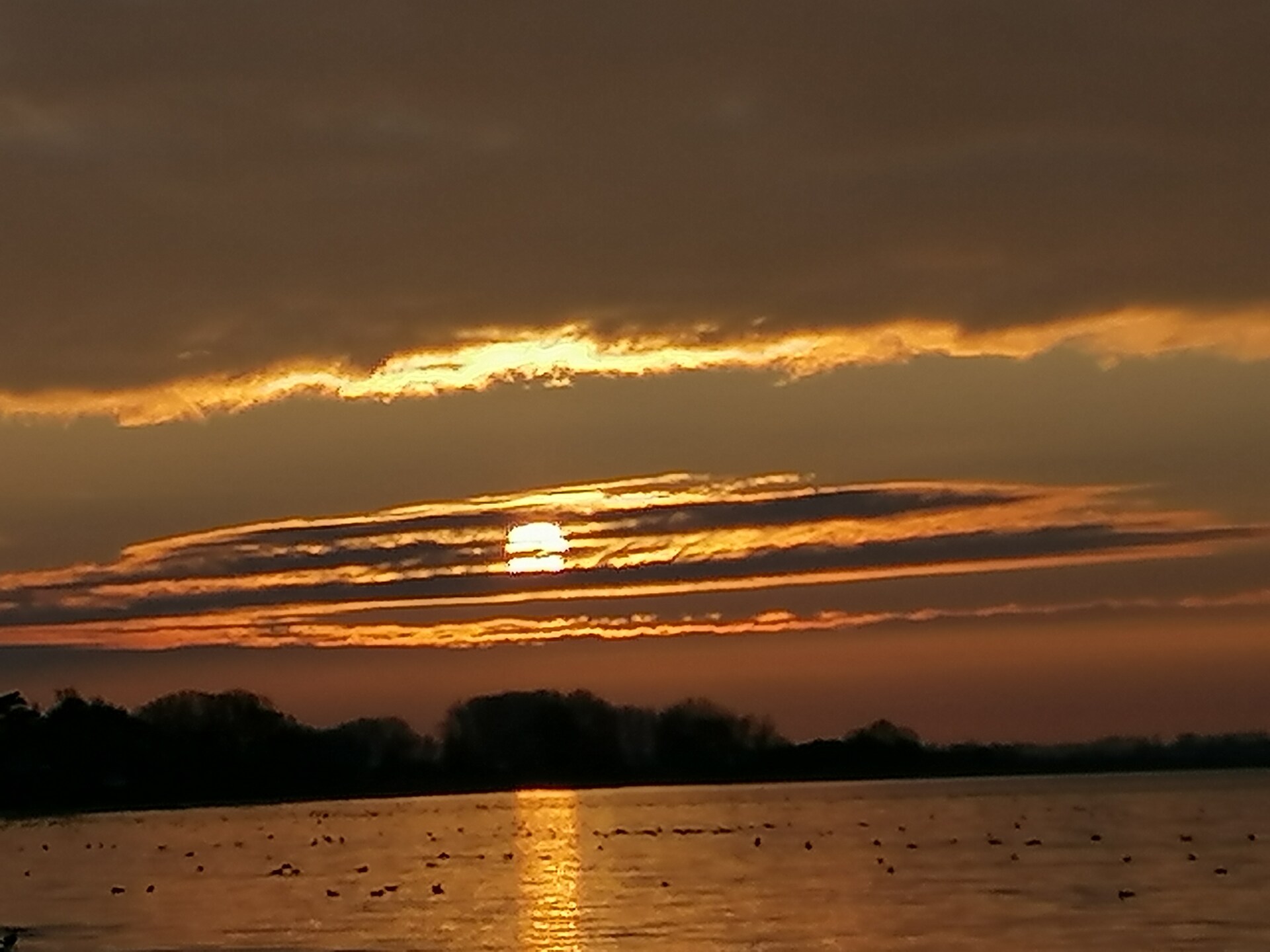 Appartement Windspiel Nr2: Uw serene toevluchtsoord op 500 meter van de Oostzee - foto 30
