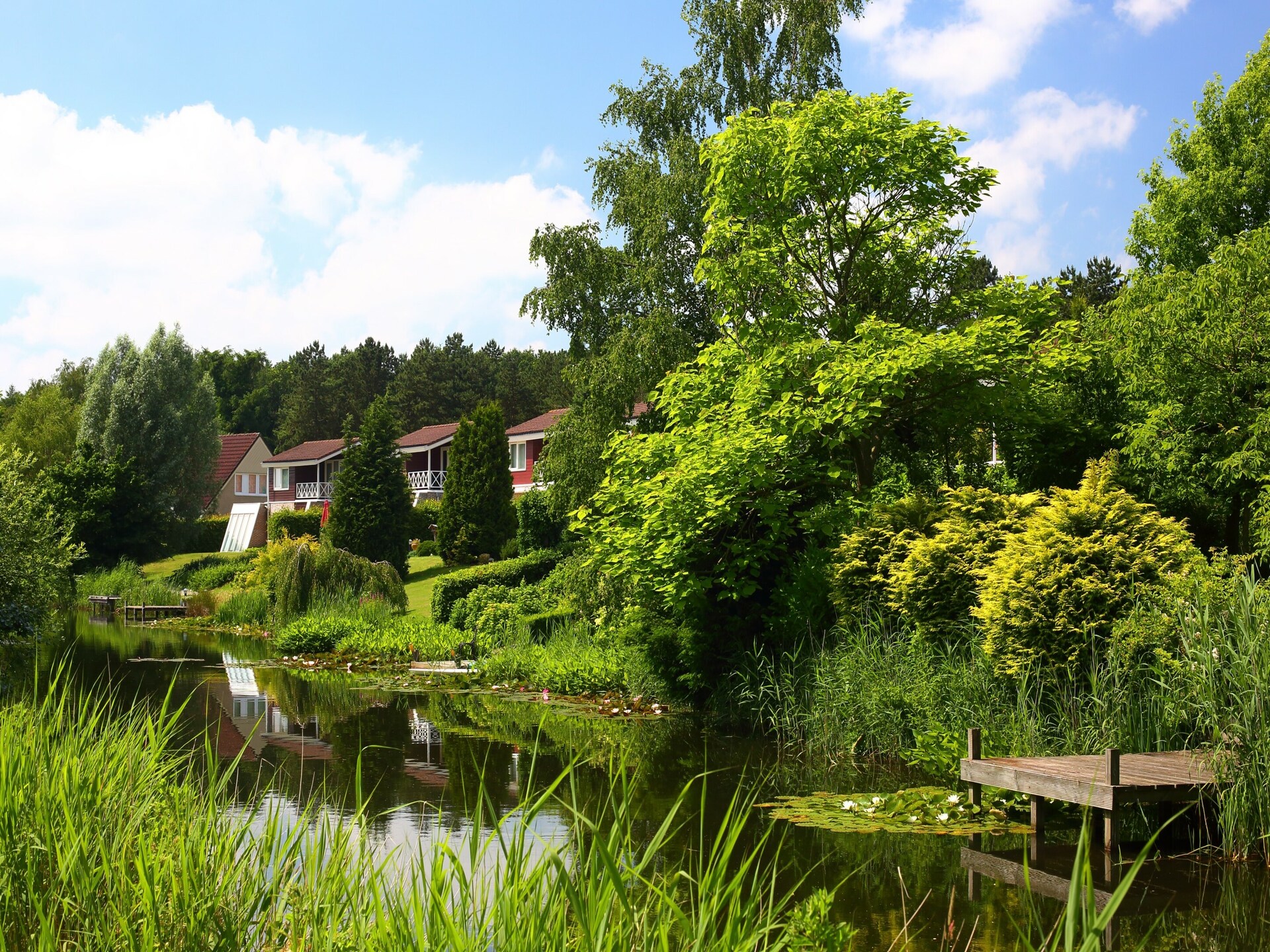Wellnessbungalow aan Emslandermeer voor 12 personen met sauna en tuin - foto 14