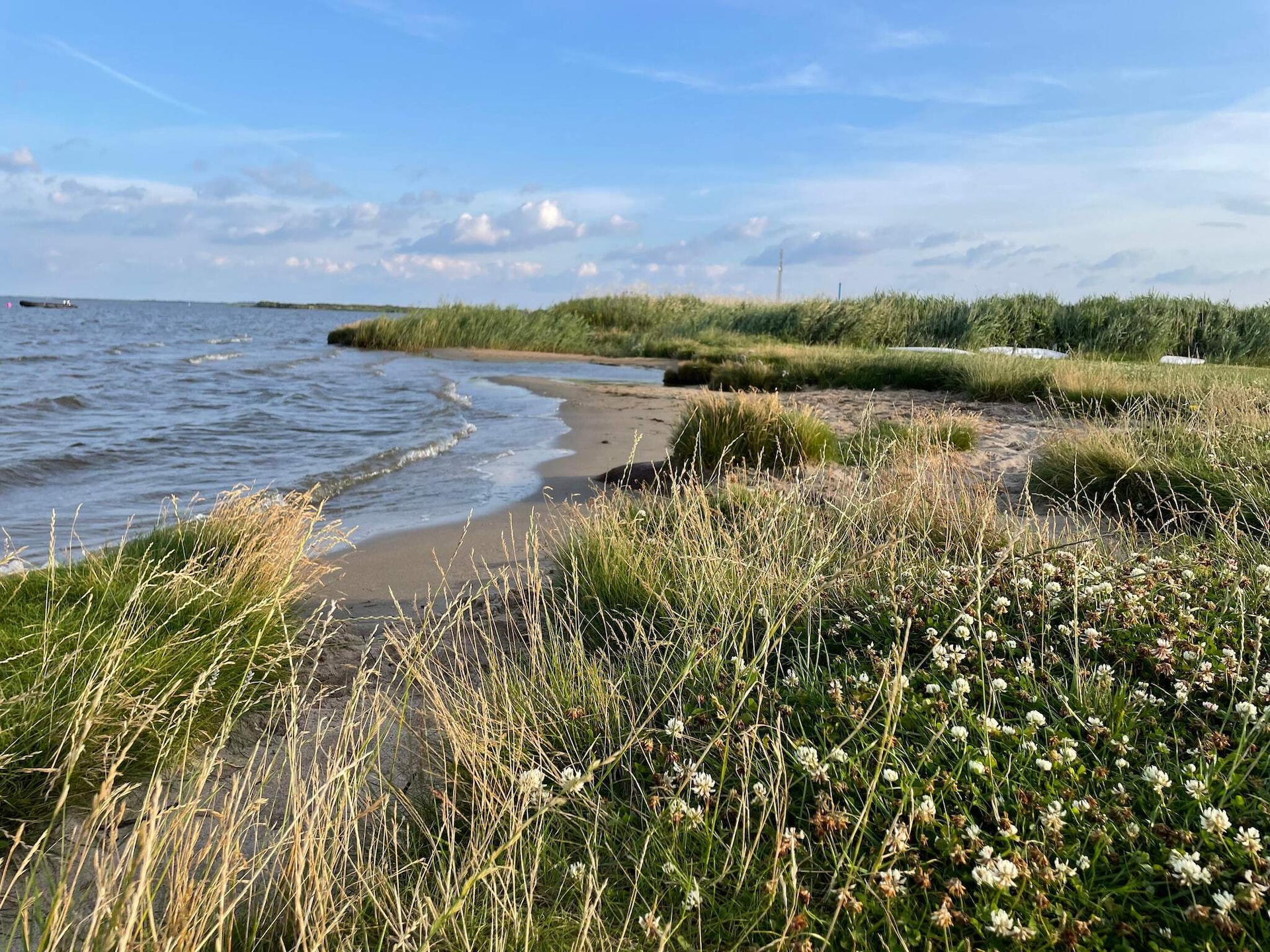 Aan zee: Licht vakantiehuis voor 8 personen in Ulfborg - foto 7