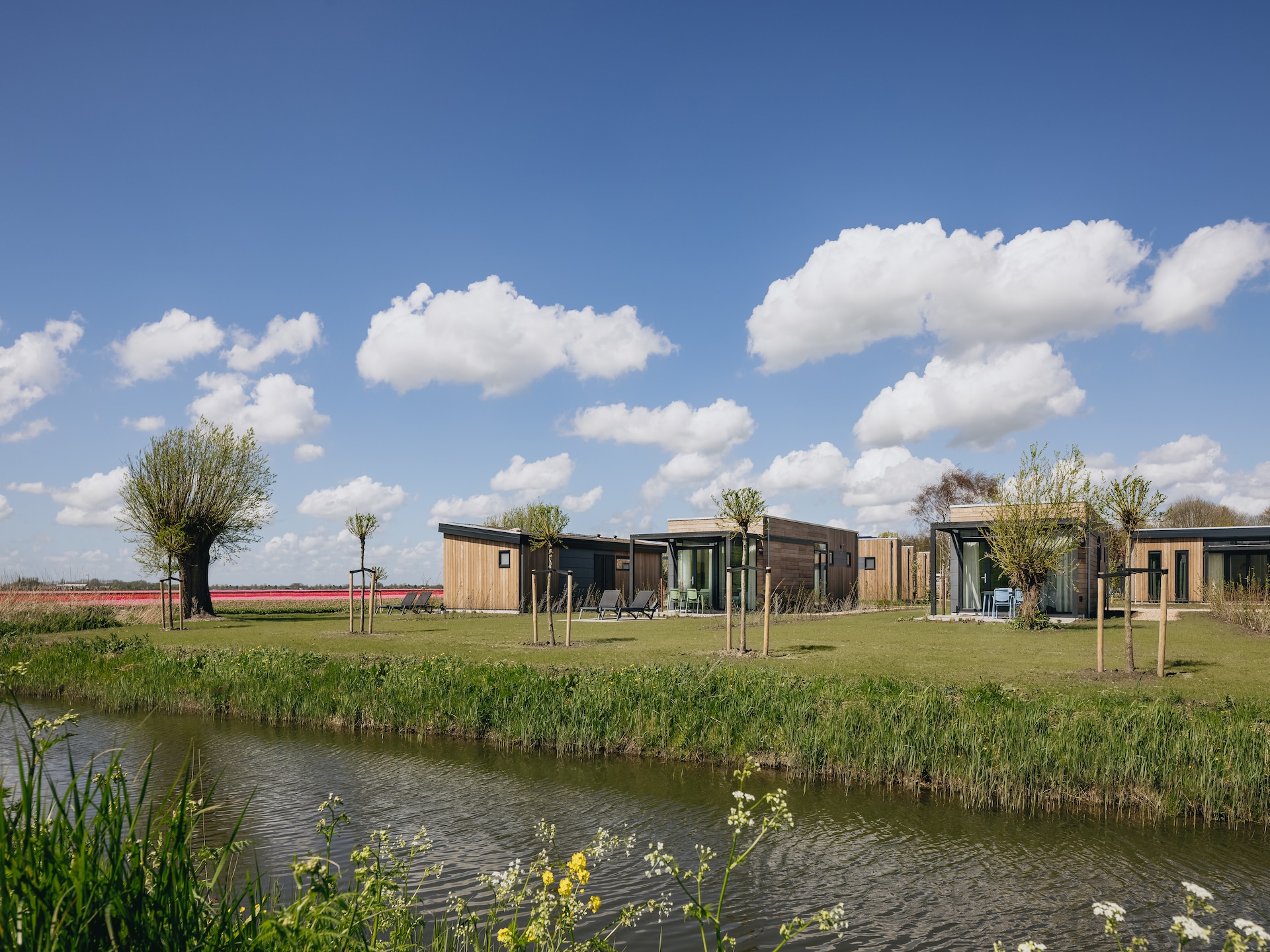 Milieuvriendelijke lodge aan het Markermeer in Wijdenes - foto 18