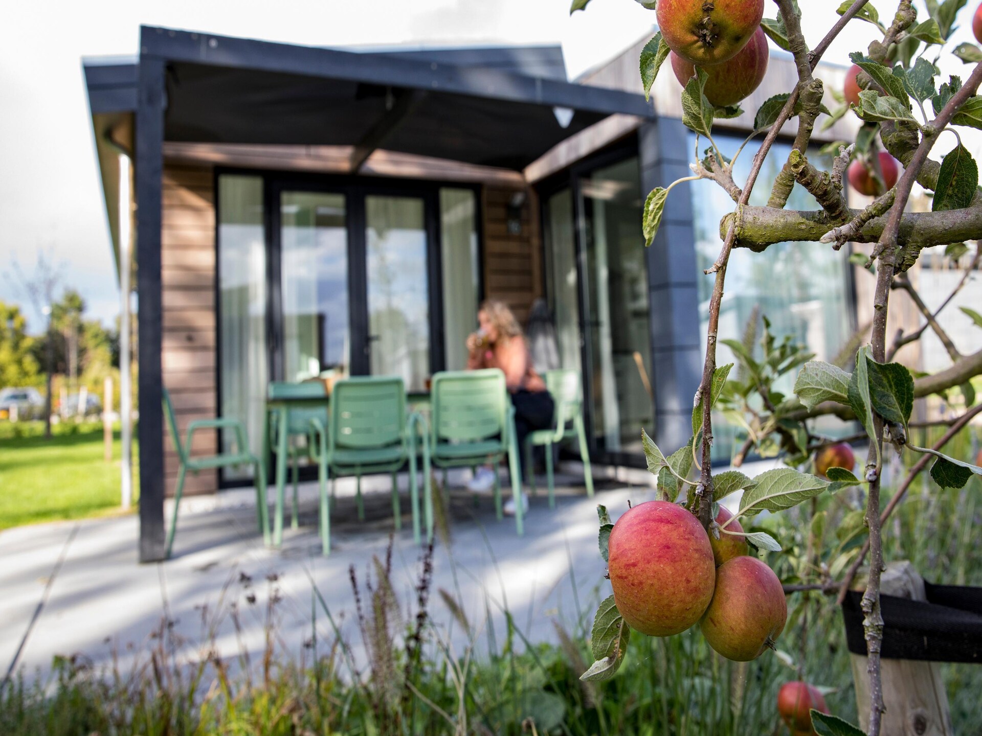 Milieuvriendelijke lodge aan het Markermeer in Wijdenes - foto 40