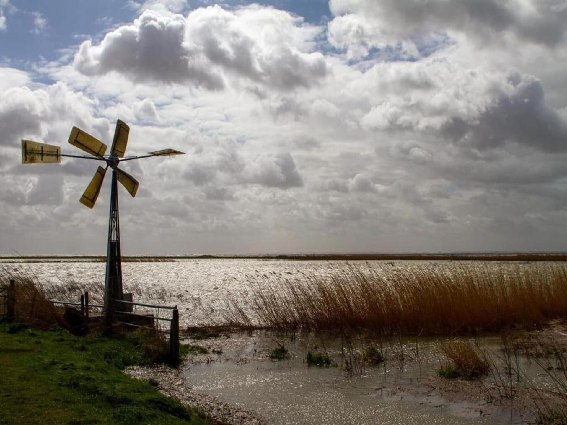Milieuvriendelijke lodge aan het Markermeer in Wijdenes - foto 30