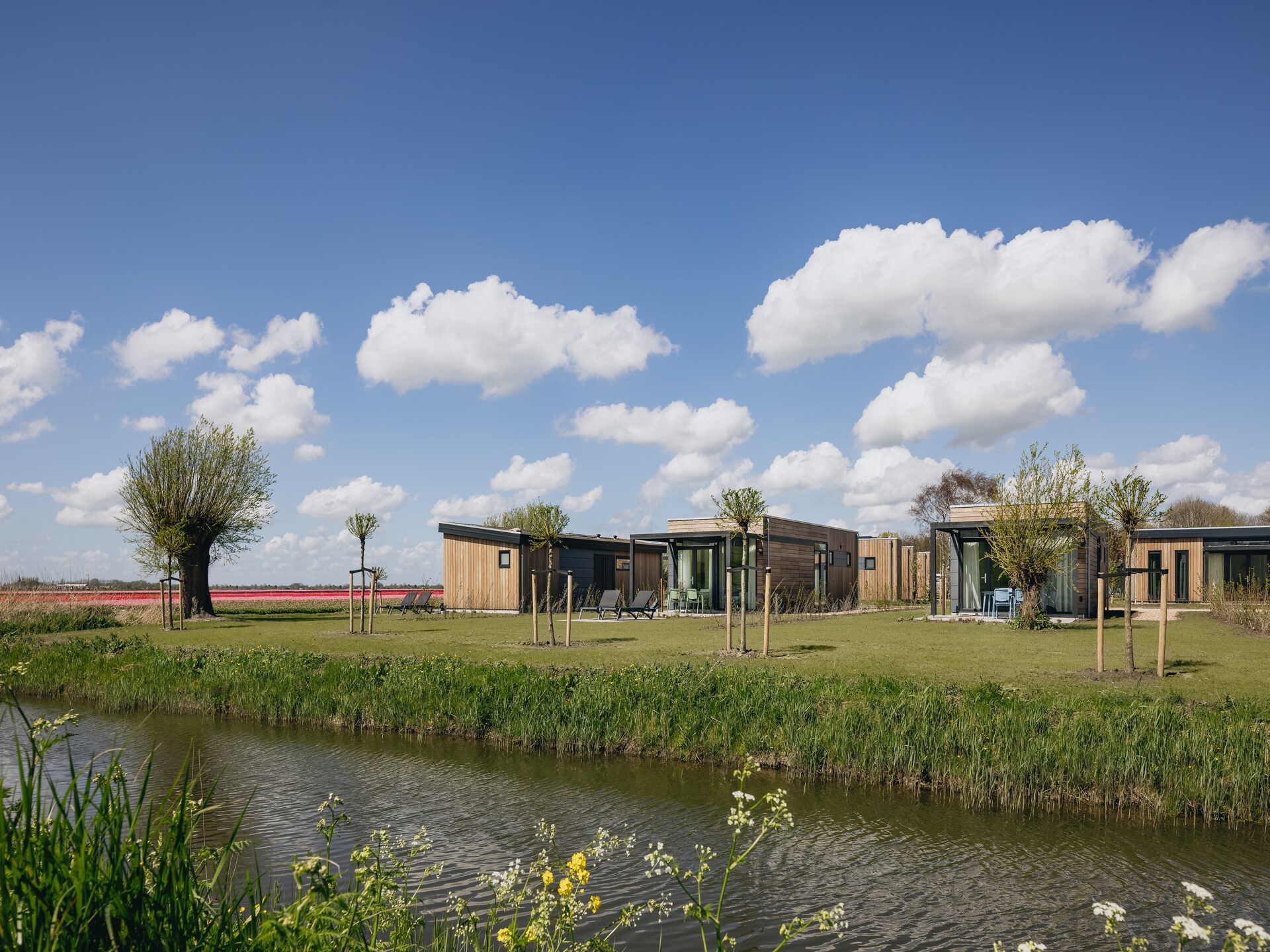 Moderne Eco-Lodge aan het Markermeer met 2 slaapkamers en eigen terras - foto 17