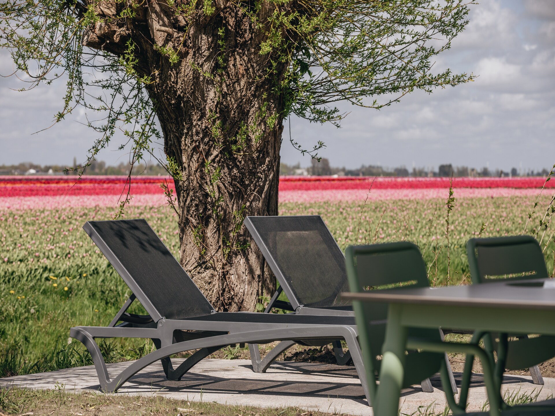 Luxe vrijstaande lodge aan het Markermeer met huisdieren welkom - foto 16