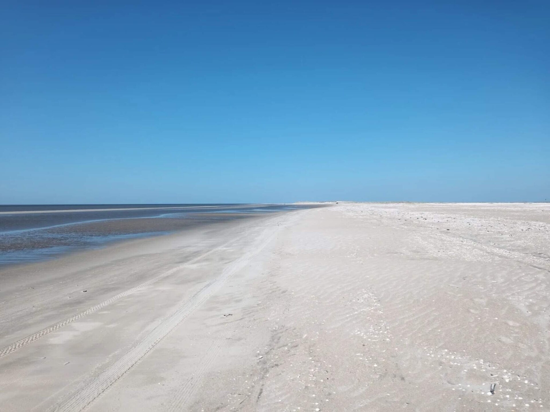 Licht appartement voor 6 op Rømø met zwembad, vlakbij strand en golfbaan - foto 21