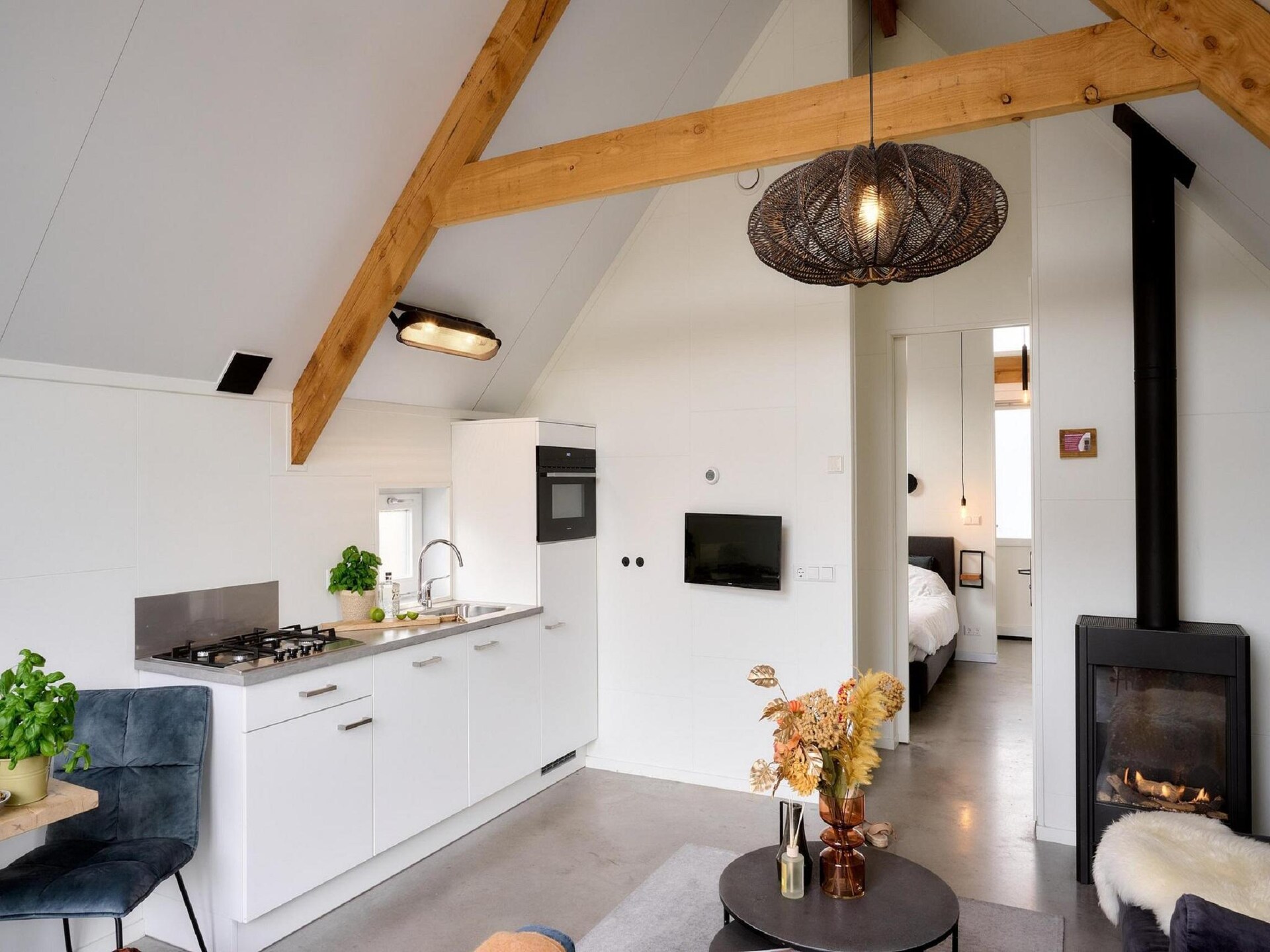 Luxueuze wellnesslodge voor 2 personen aan het water op Landgoed De IJsvogel - foto 3