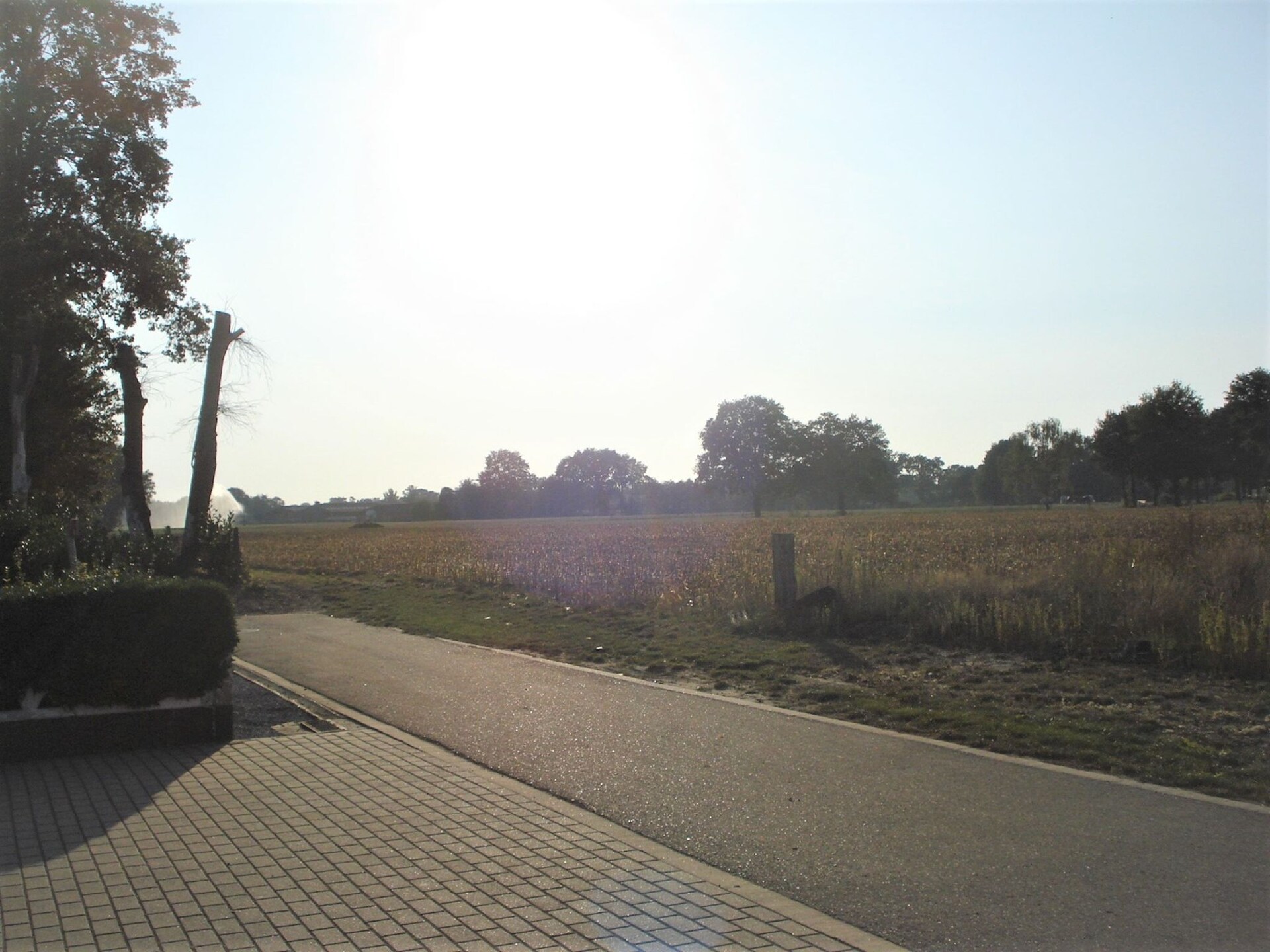 Knus vakantiehuis met grote tuin in het groene hart van Peer, Limburg - foto 20