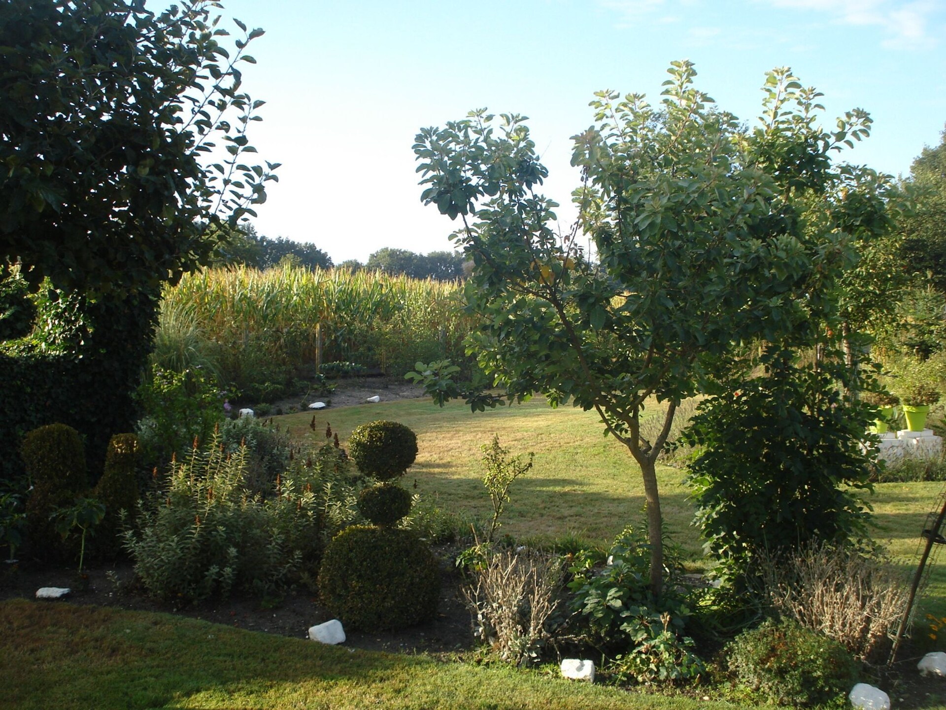 Knus vakantiehuis met grote tuin in het groene hart van Peer, Limburg - foto 17
