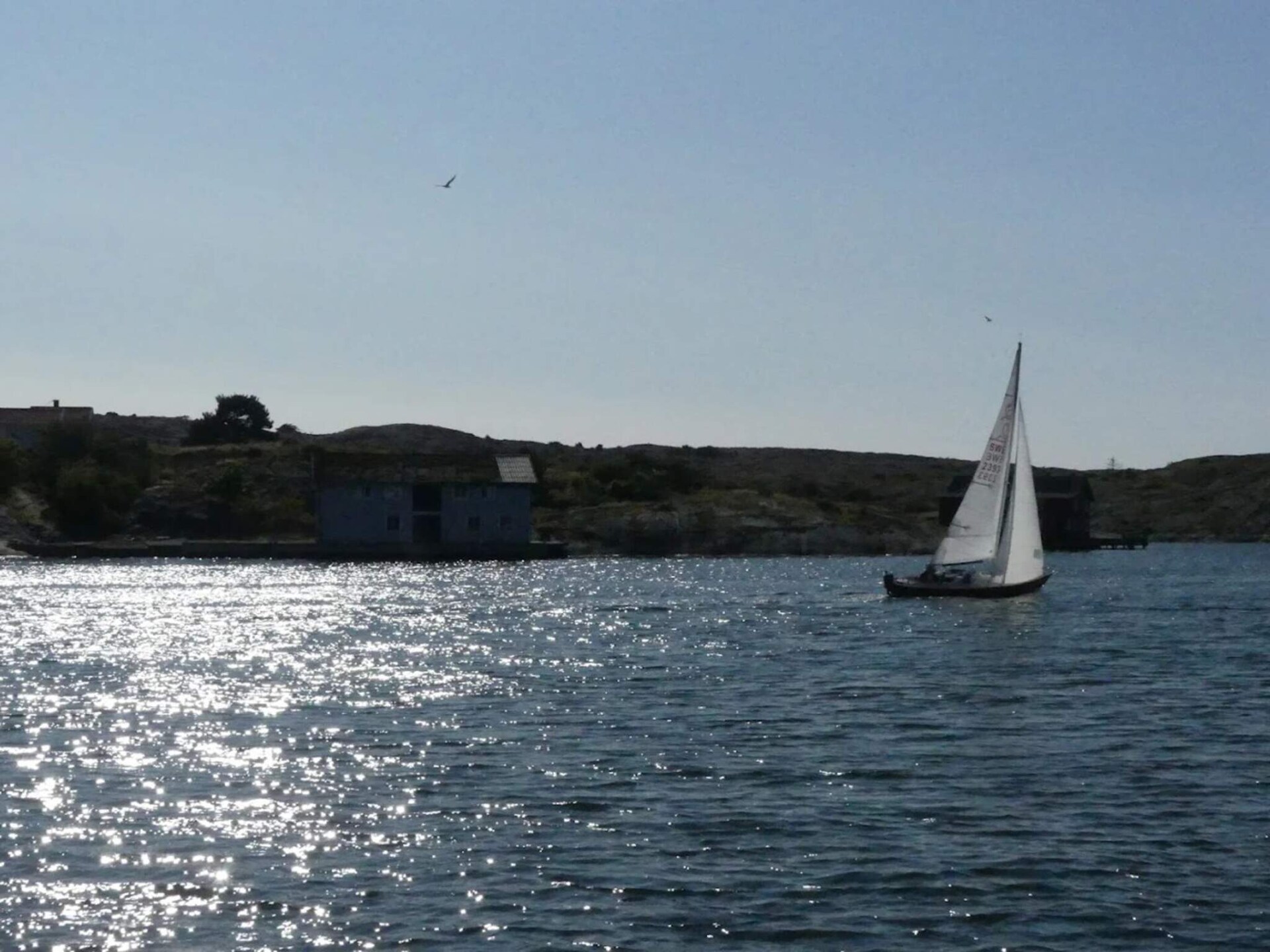 Fris vakantiehuis bij zee en golfbaan in Mollösund, Orust - foto 16