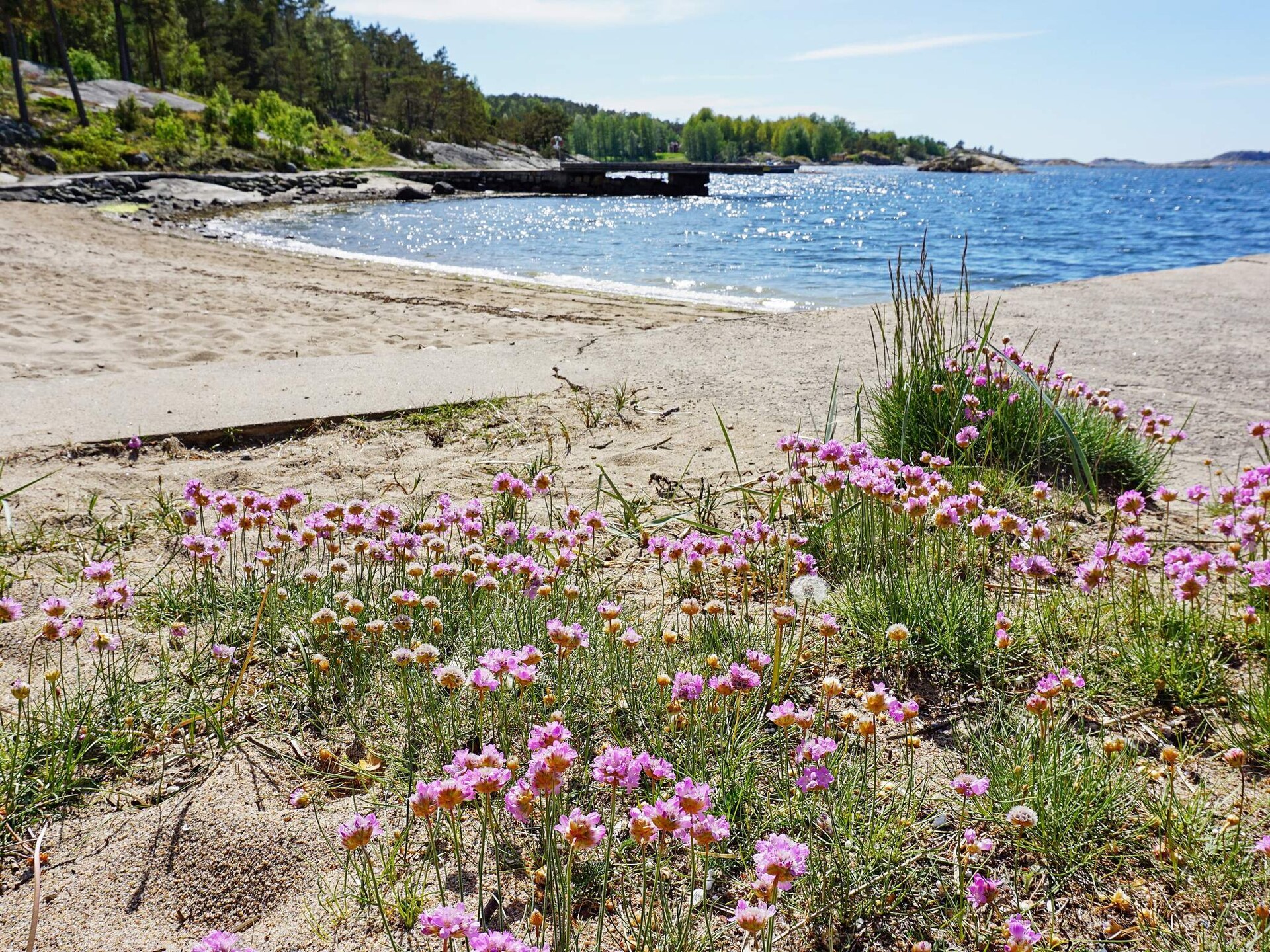 6-persoons vakantiehuis in Strömstad op 400 meter van zee - foto 28