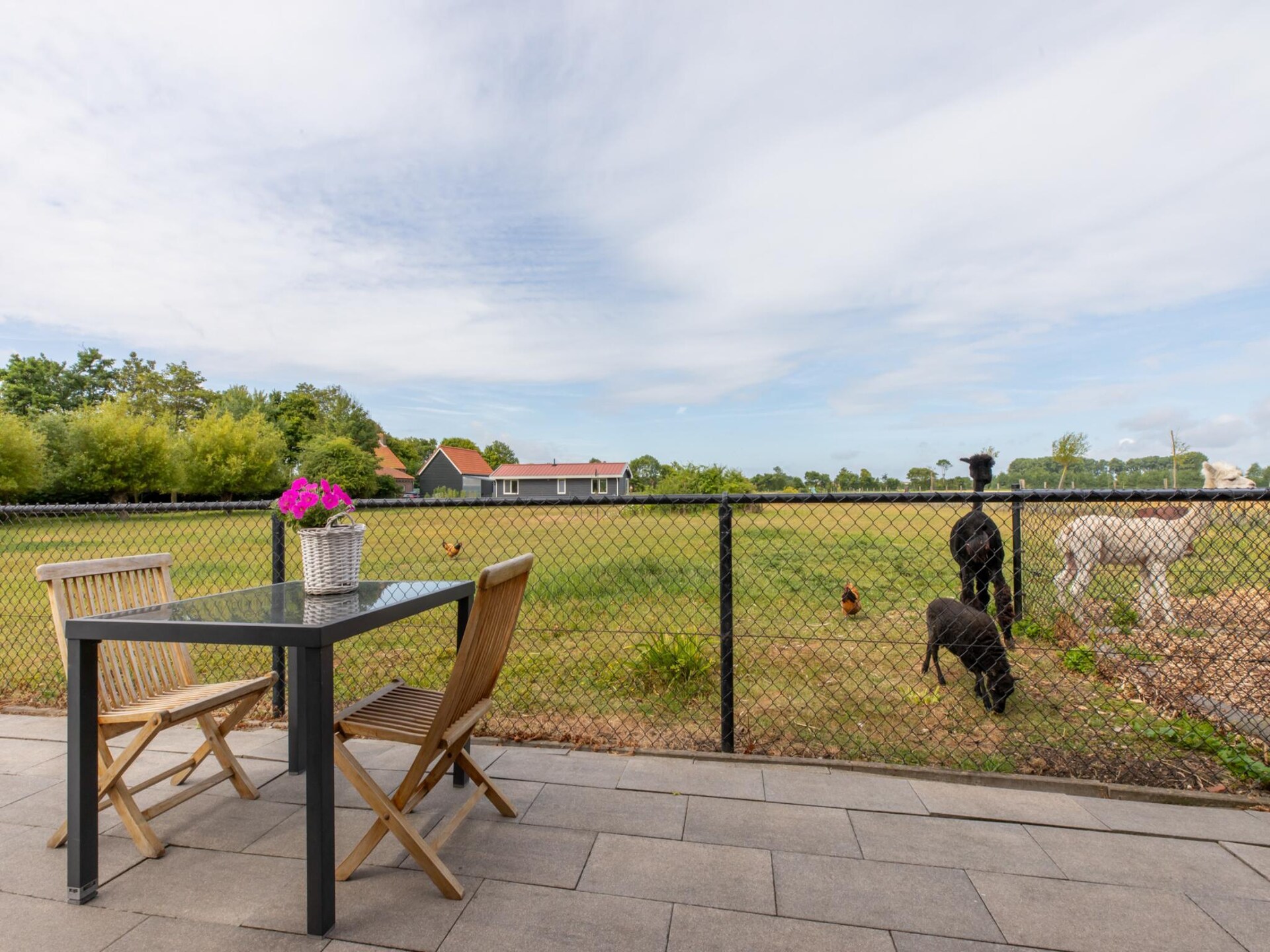 Vrijstaand vakantiehuis 'Jikkemien' in polder bij Koudekerke, honden toegestaan - foto 21