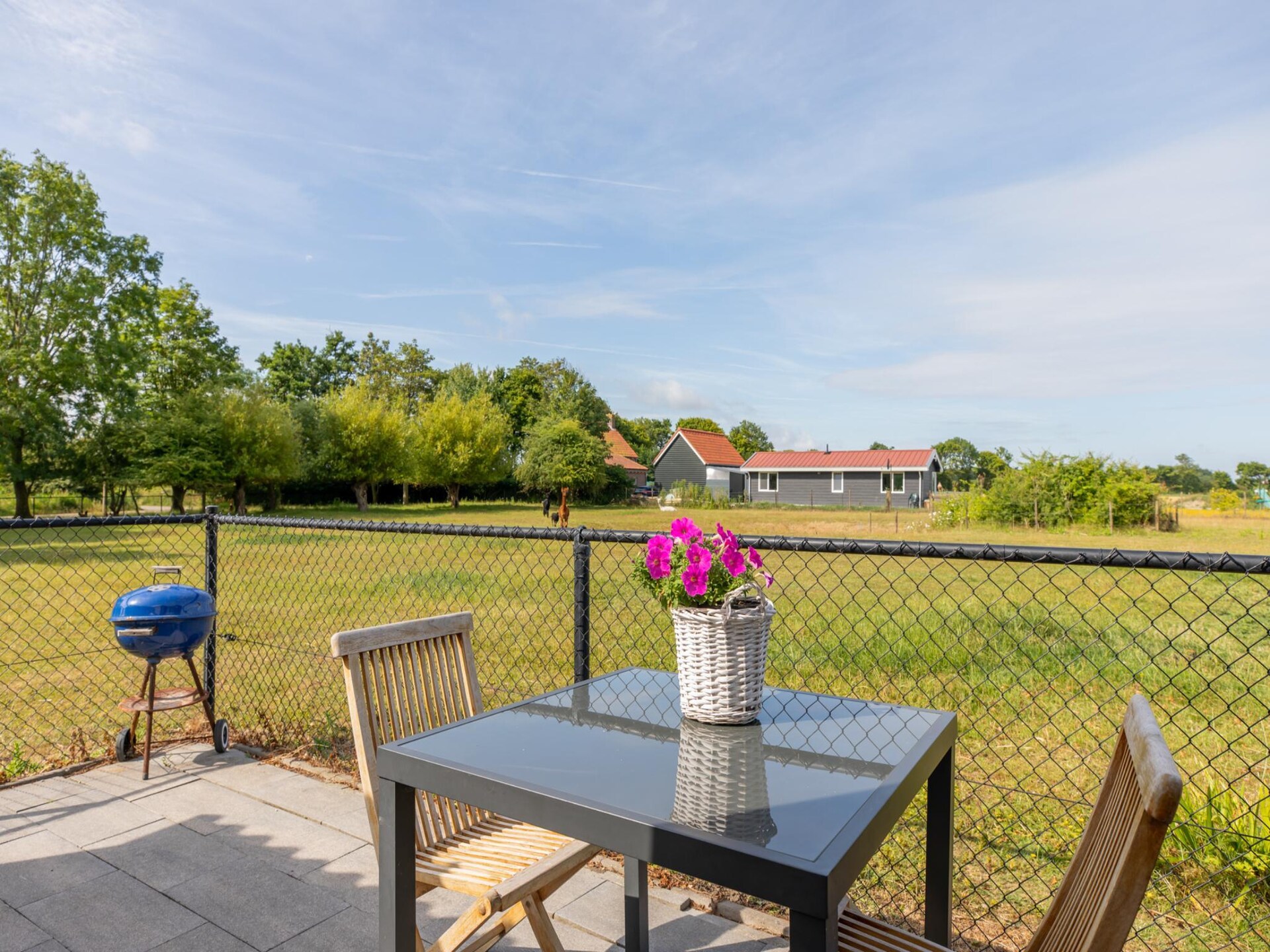 Vrijstaand vakantiehuis 'Jikkemien' in polder bij Koudekerke, honden toegestaan - foto 2