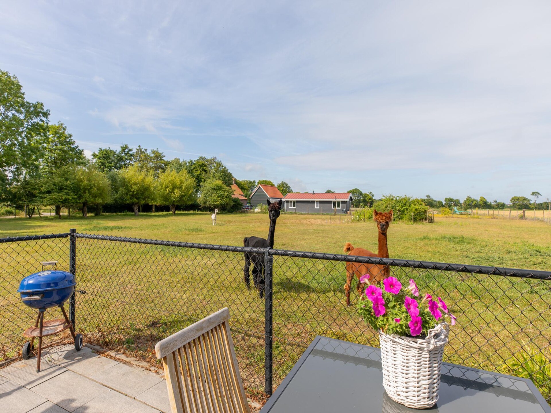Vrijstaand vakantiehuis 'Jikkemien' in polder bij Koudekerke, honden toegestaan - foto 20