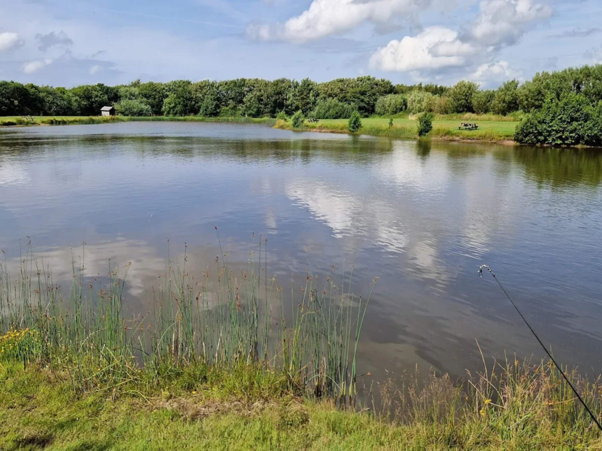 Aan zee: Sfeervol vakantiehuis in Hemmet voor 6 personen - foto 5