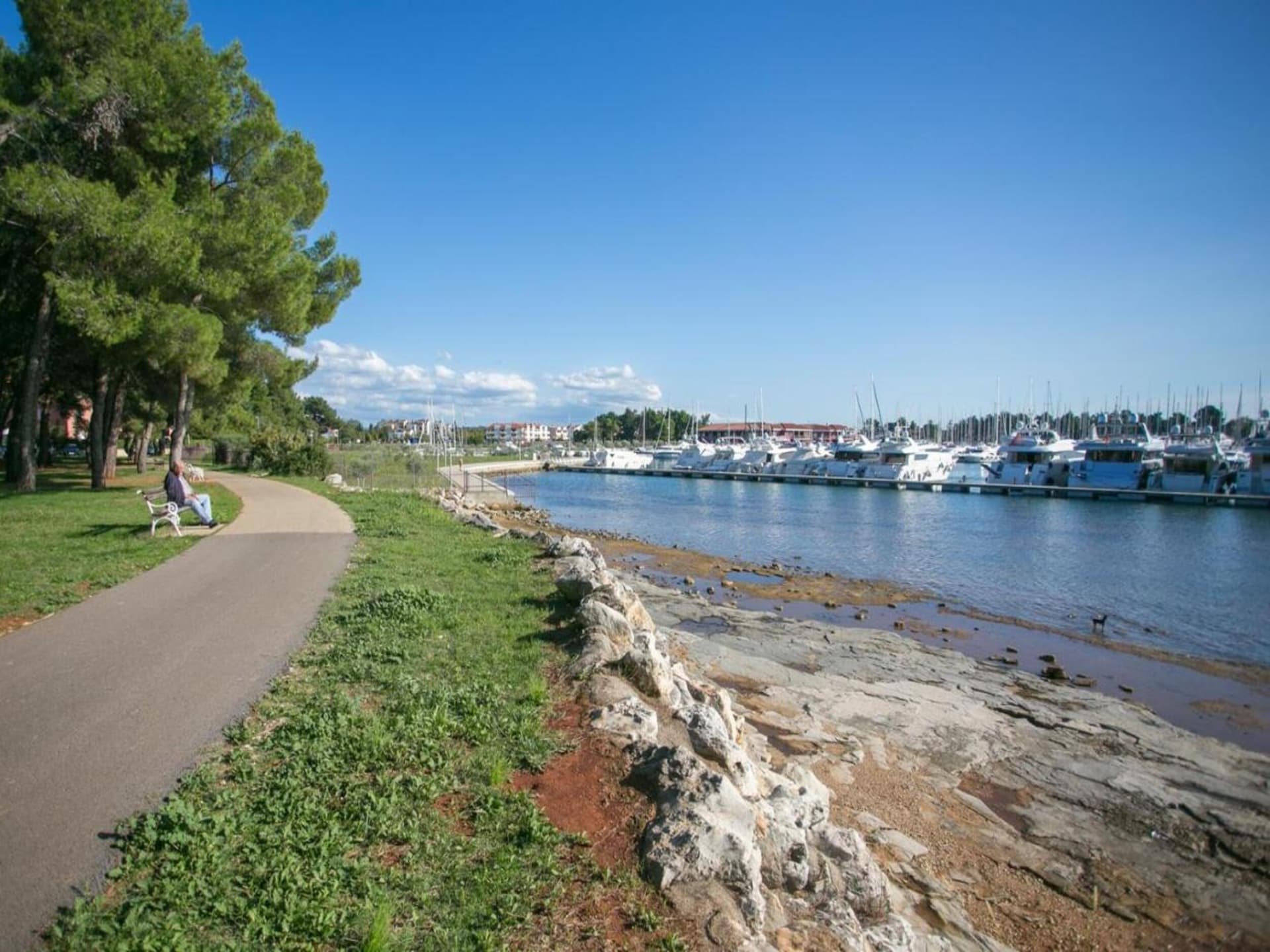 Vrijstaande bosvilla met privézwembad op 2 km van zee en Novigrad - foto 38