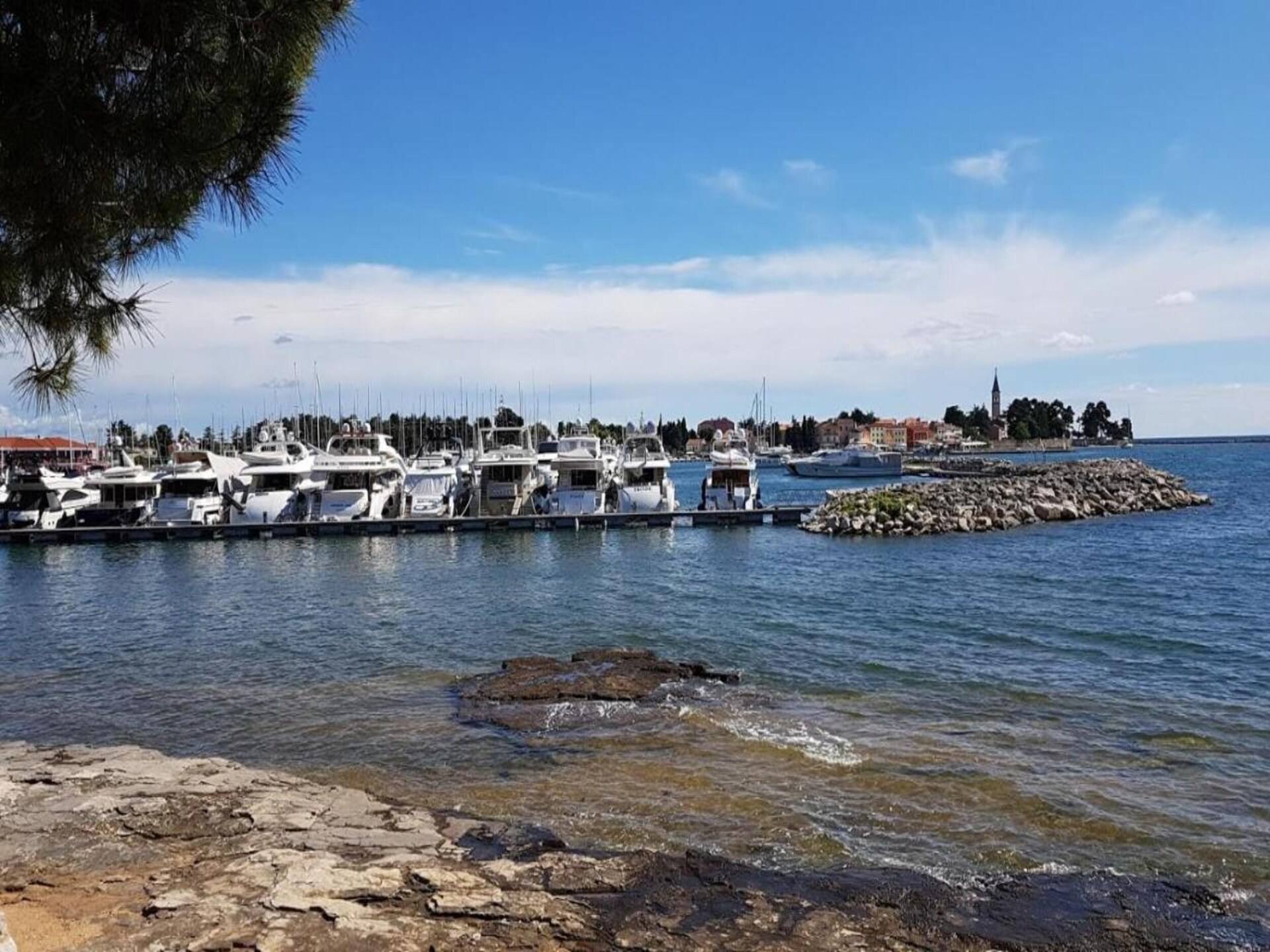 Vrijstaande bosvilla met privézwembad op 2 km van zee en Novigrad - foto 28