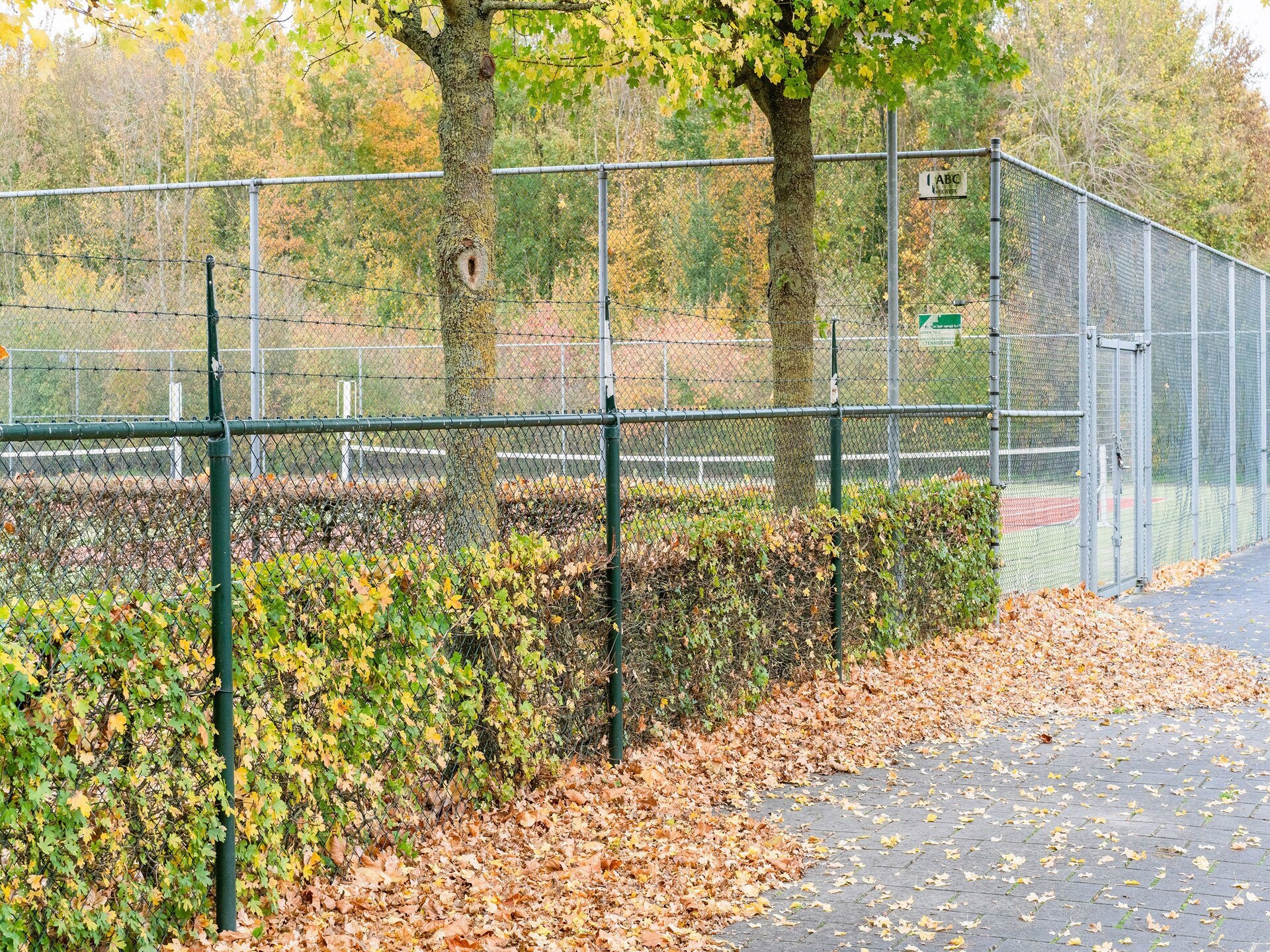Luxe vakantiehuis Zonnig Hosterwold met zwembad en tennisbaan in Zeewolde - foto 36