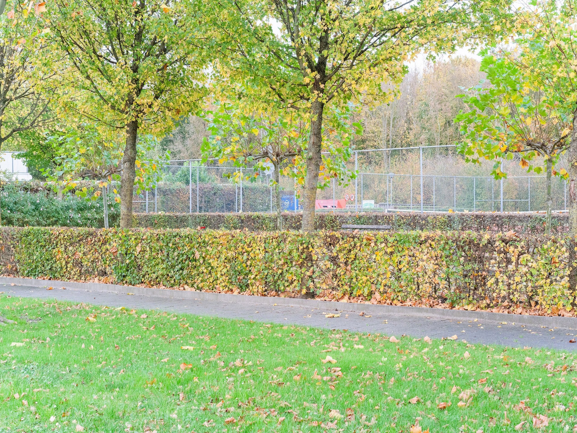 Luxe vakantiehuis Zonnig Hosterwold met zwembad en tennisbaan in Zeewolde - foto 32