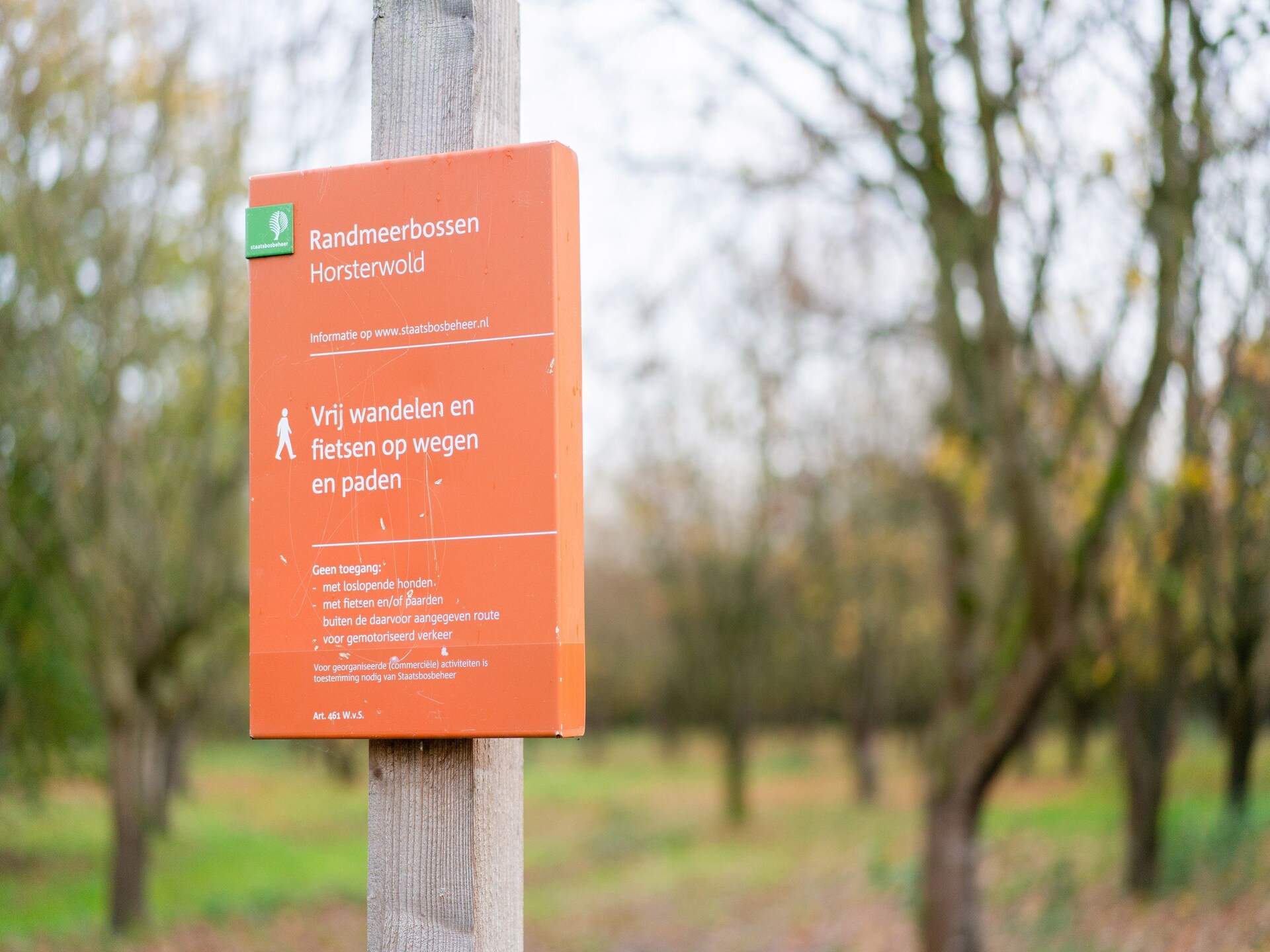 Luxe vakantiehuis Zonnig Hosterwold met zwembad en tennisbaan in Zeewolde - foto 39