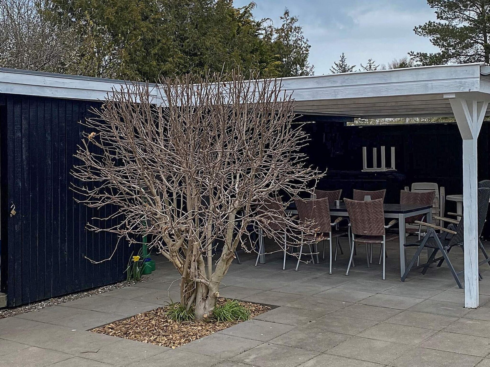 Sfeervol vakantiehuis in Brovst bij Tranum Strand - foto 7