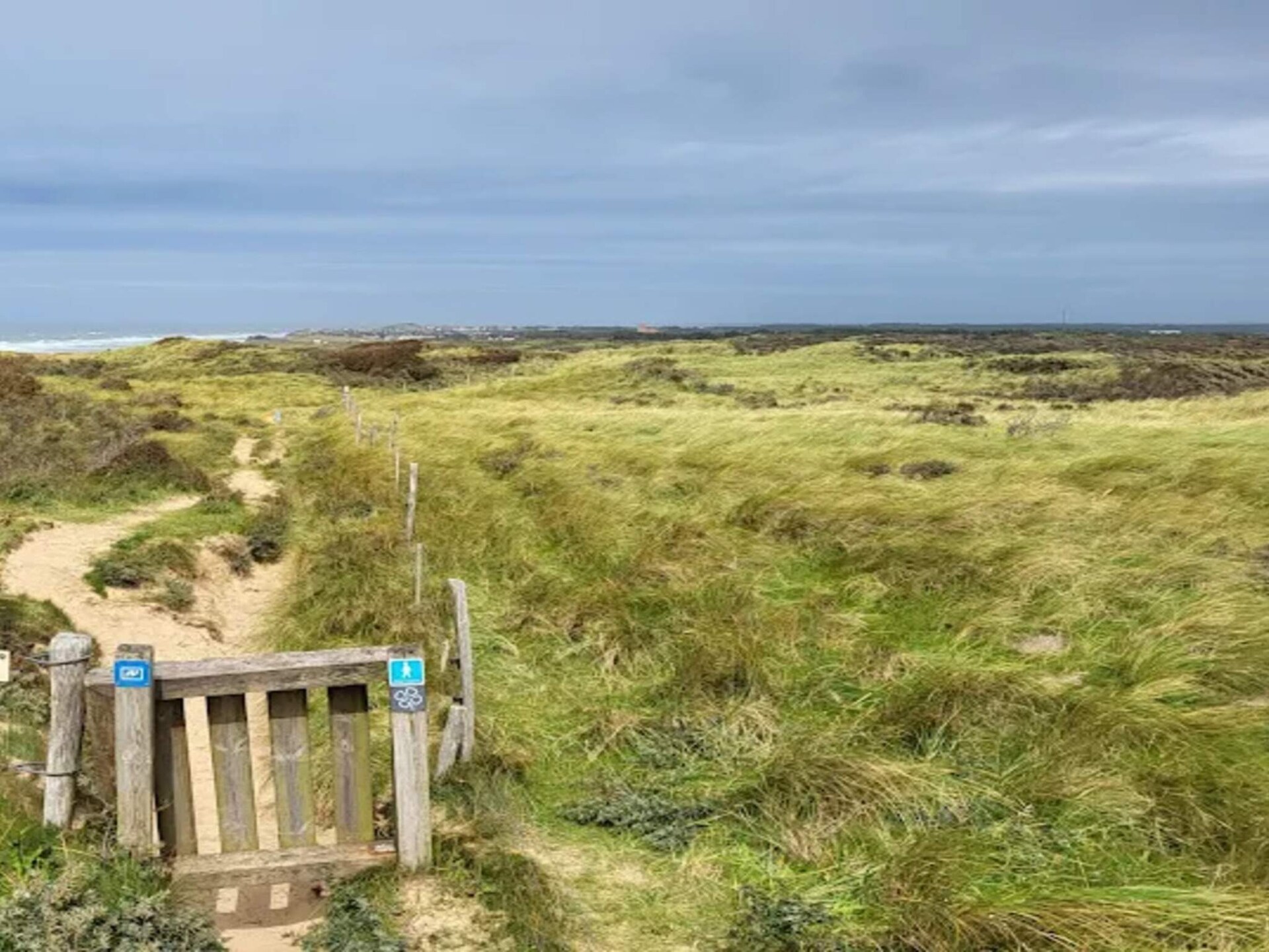 Gerenoveerd vakantiehuis op natuurperceel bij Lønstrup en de zee - foto 18