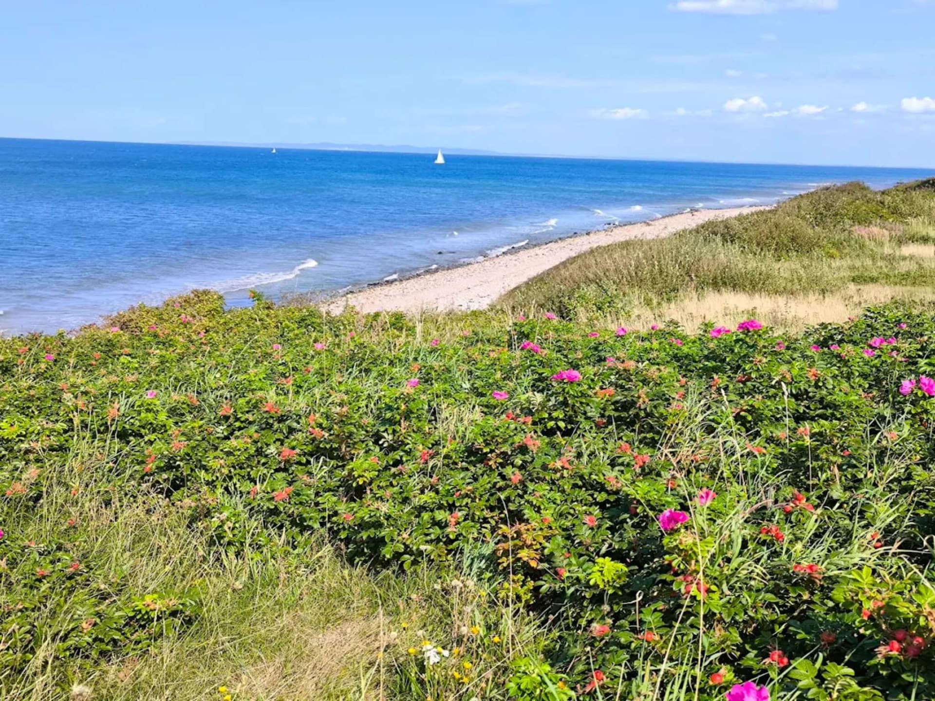 Op 600 m van zee: Ruim vakantiehuis met sauna en whirlpool in Gilleleje - foto 39