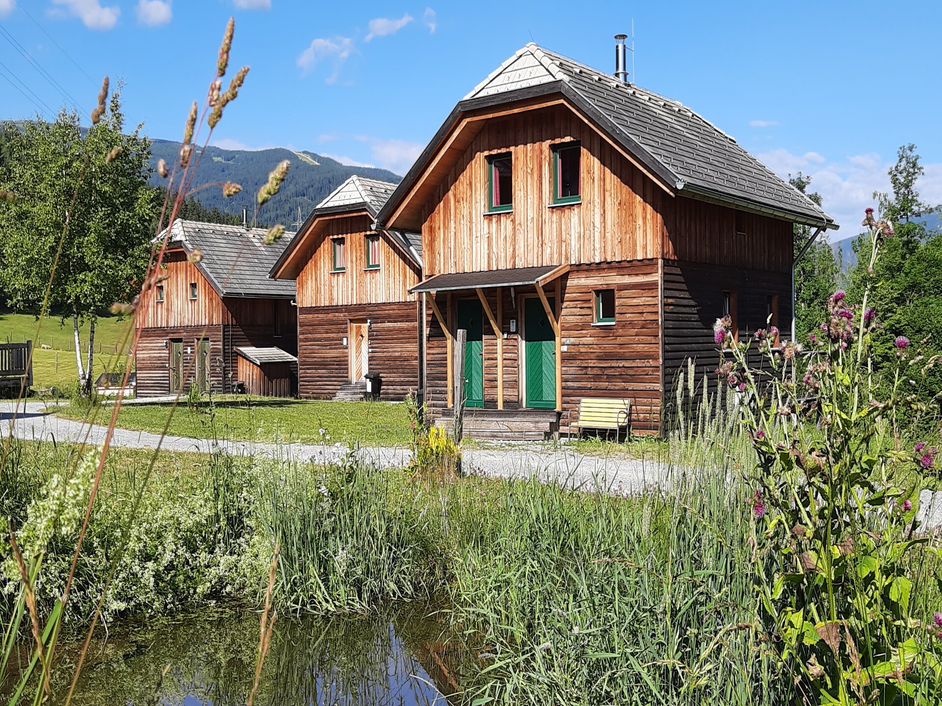 Premium chalet voor 8 aan de piste in Sankt Georgen ob Murau - foto 3
