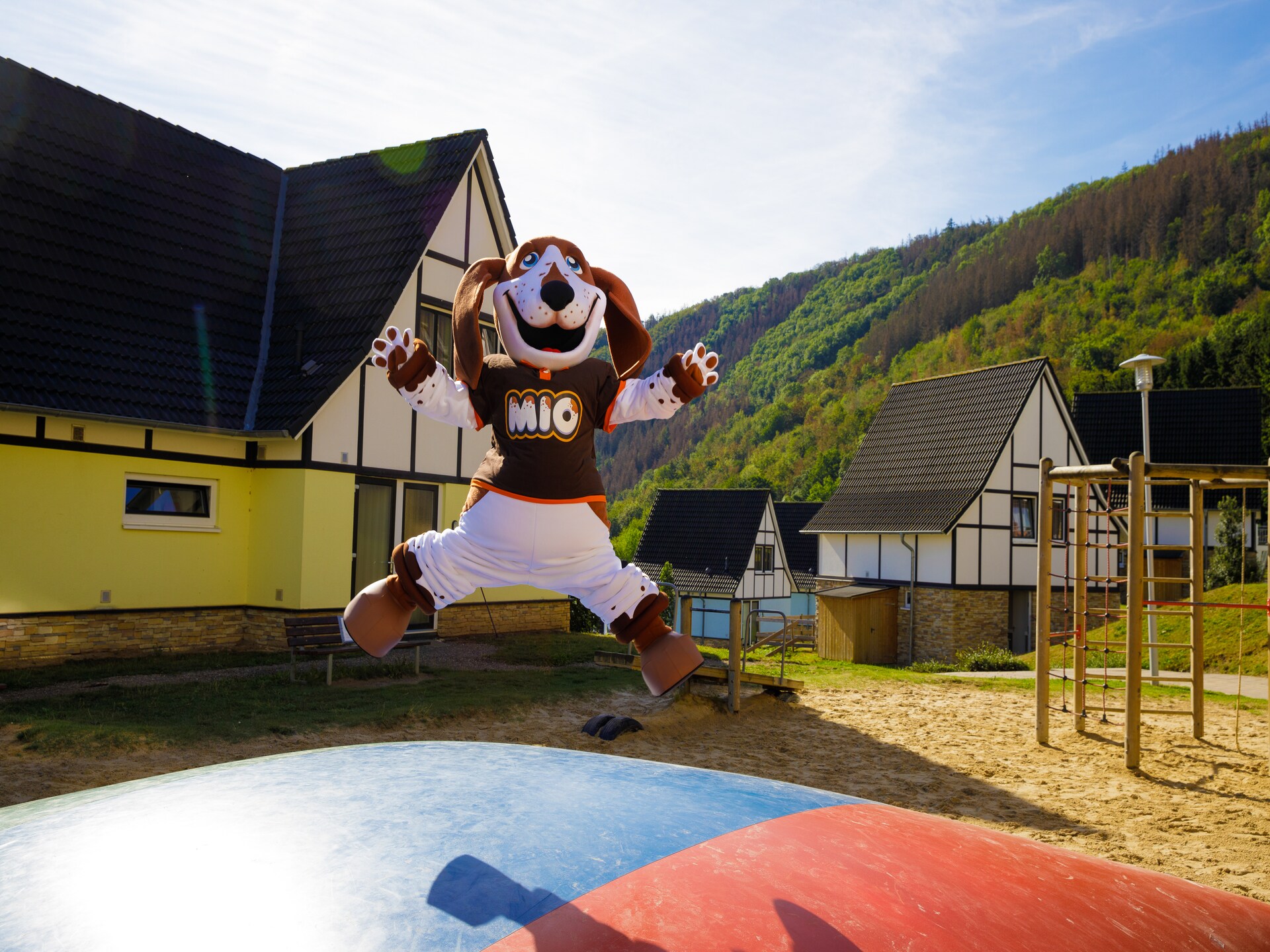 Ruime villa voor 6 personen in Heimbach bij Resort Eifeler Tor - foto 6