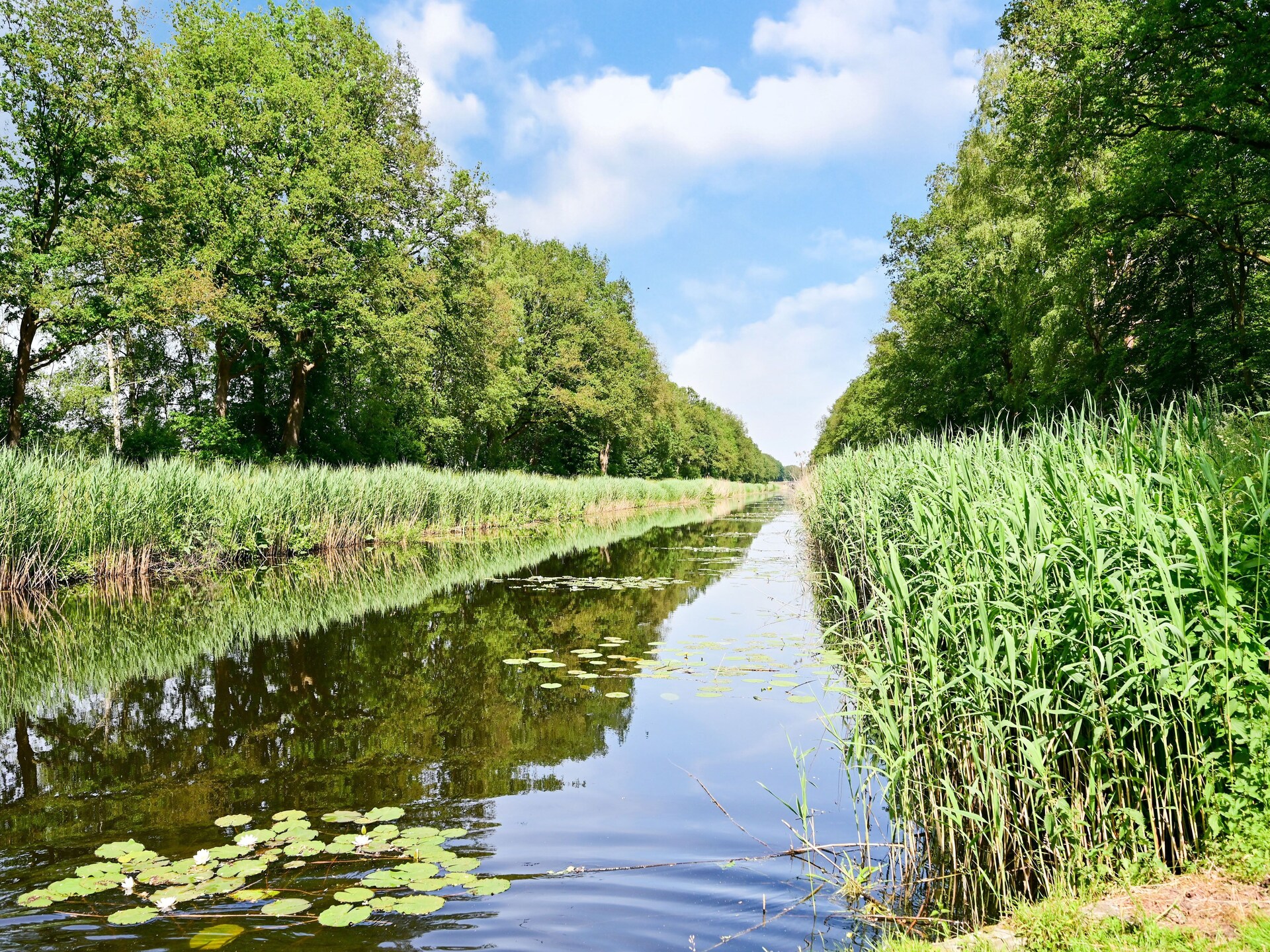 Vrijstaand wellnesshuis met boszicht en privé spa in Twente - foto 34