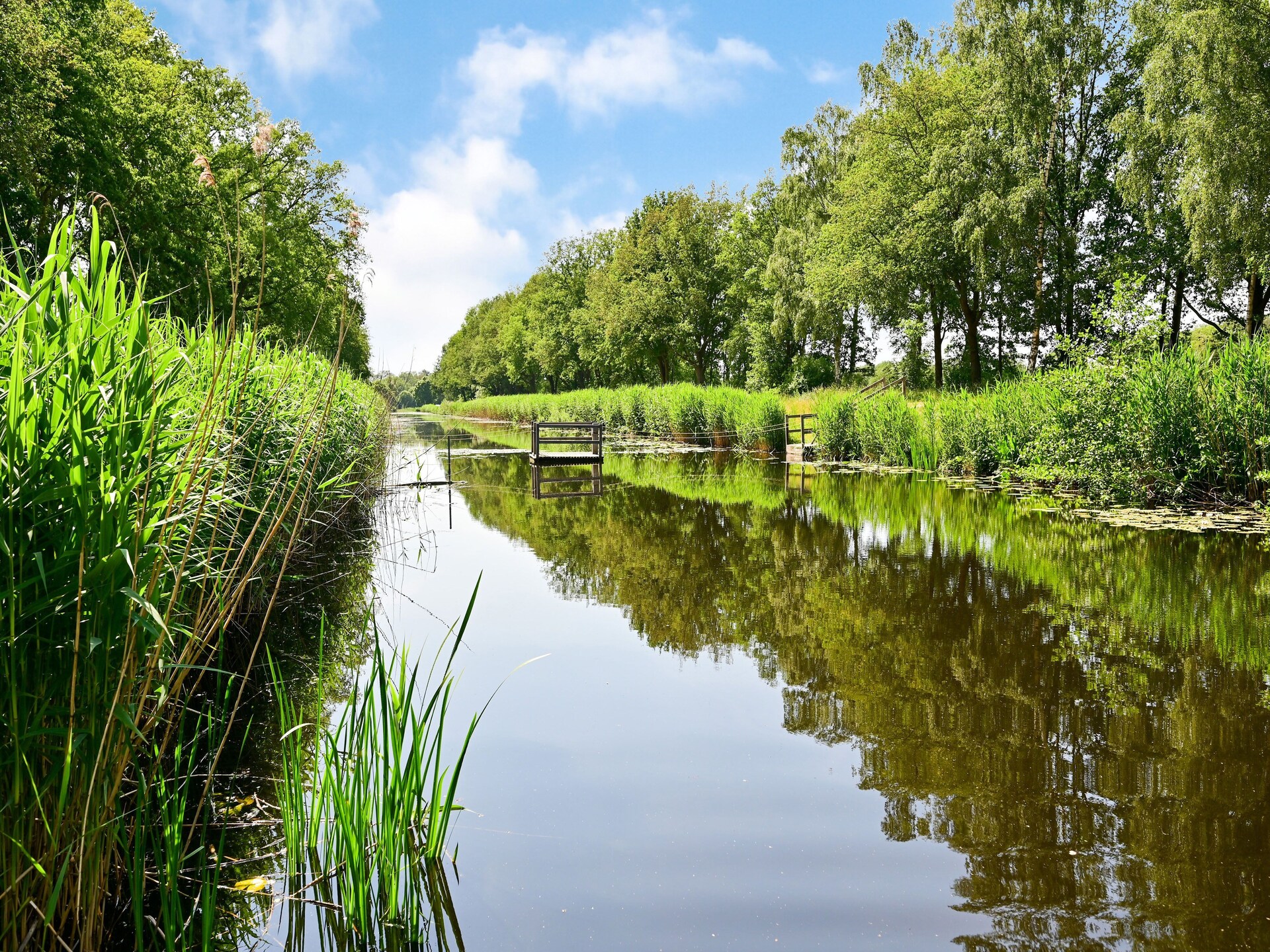 Vrijstaand wellnesshuis met boszicht en privé spa in Twente - foto 35