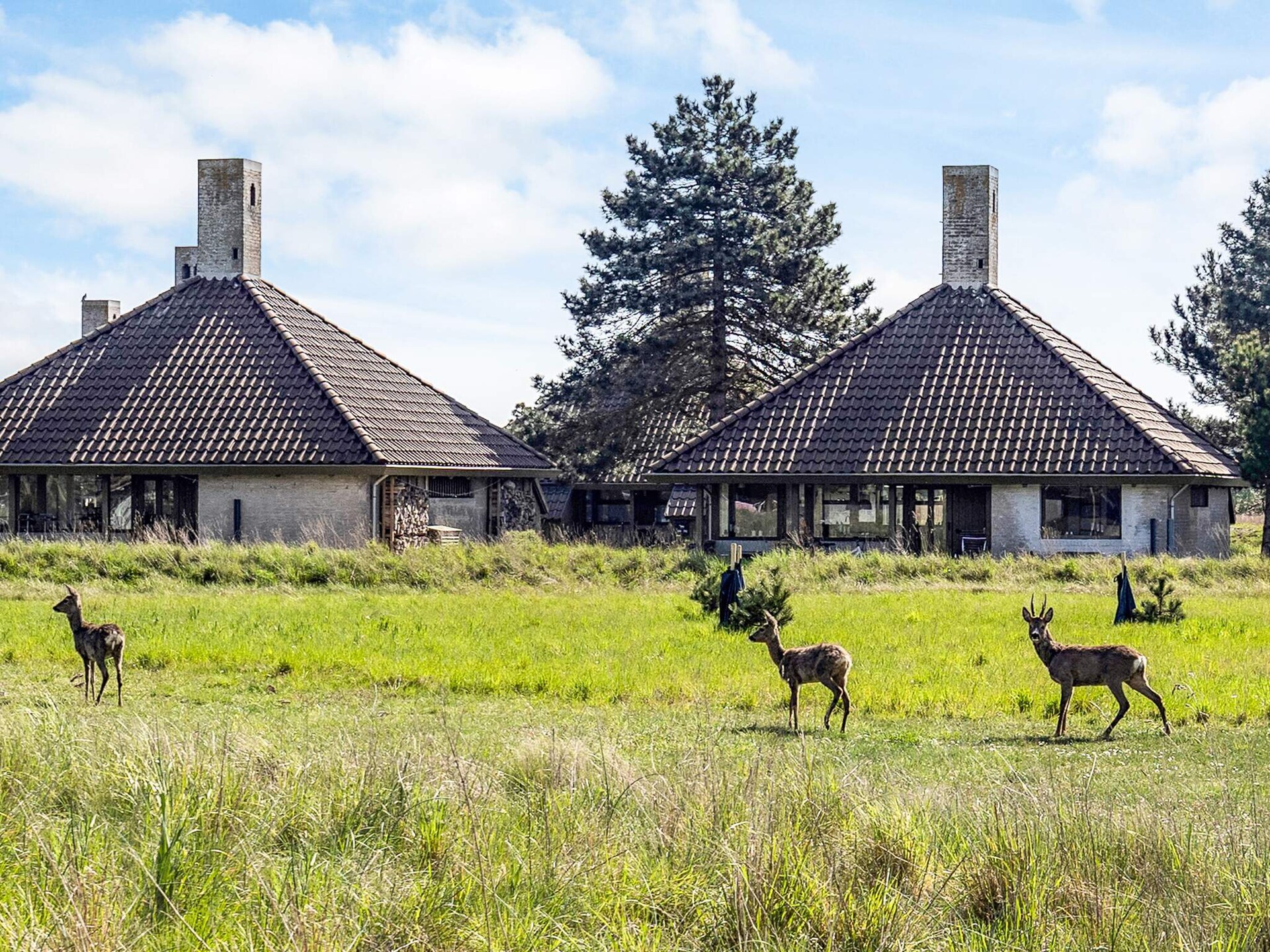 Luxe vakantiehuis met fjordzicht in Karrebæksminde - foto 90